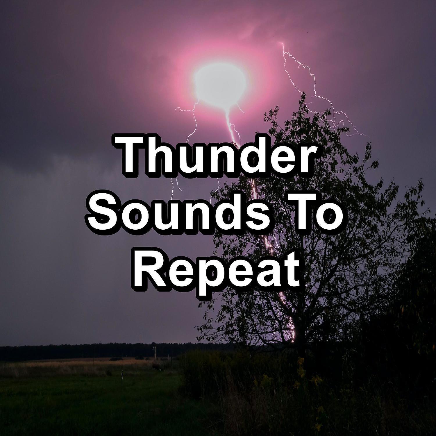 Постер альбома Thunder Sounds To Repeat