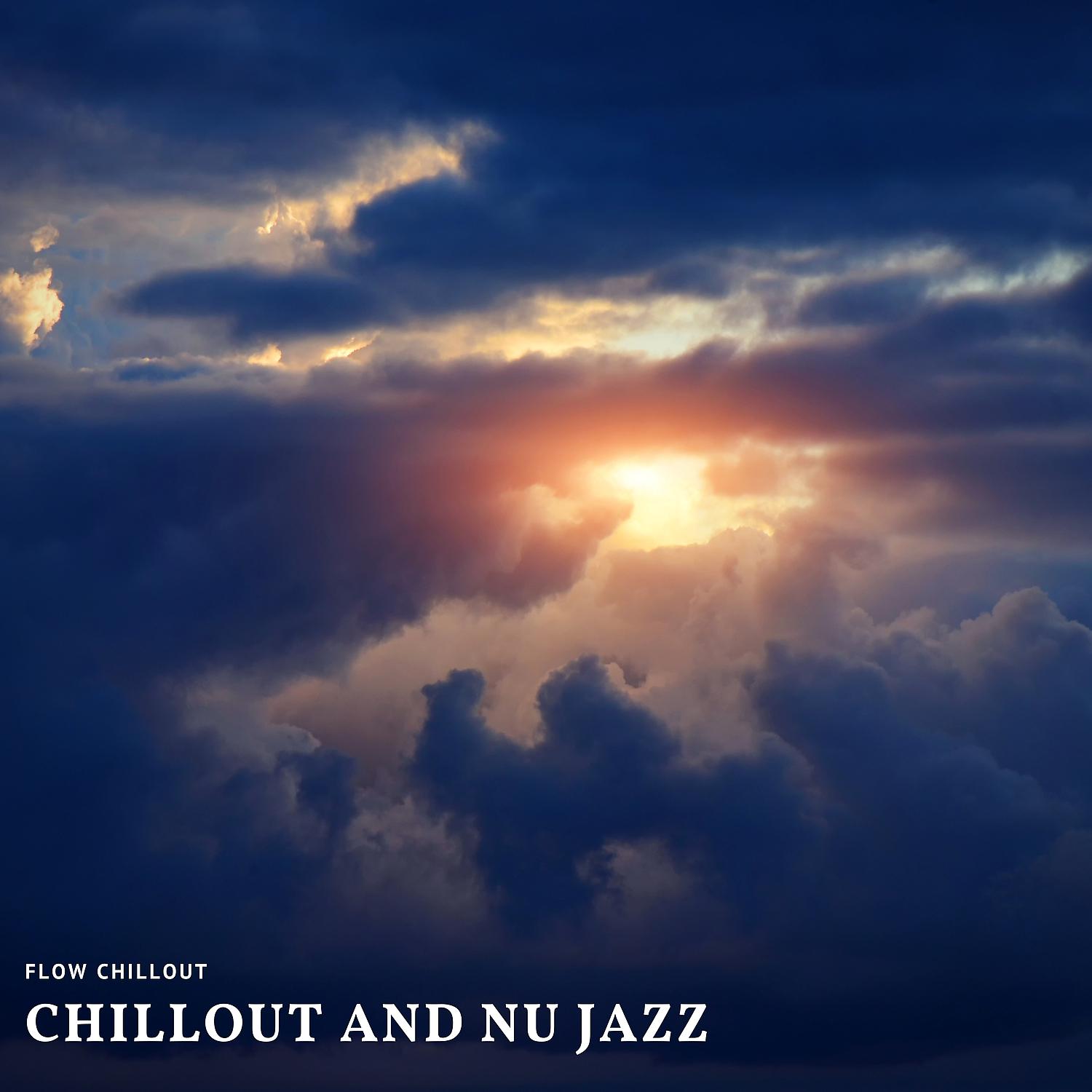 Постер альбома Chillout and Nu Jazz