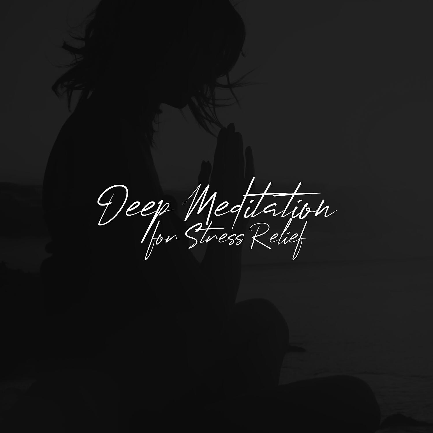 Guided Meditation Music Zone - Relaxation and Break After Study