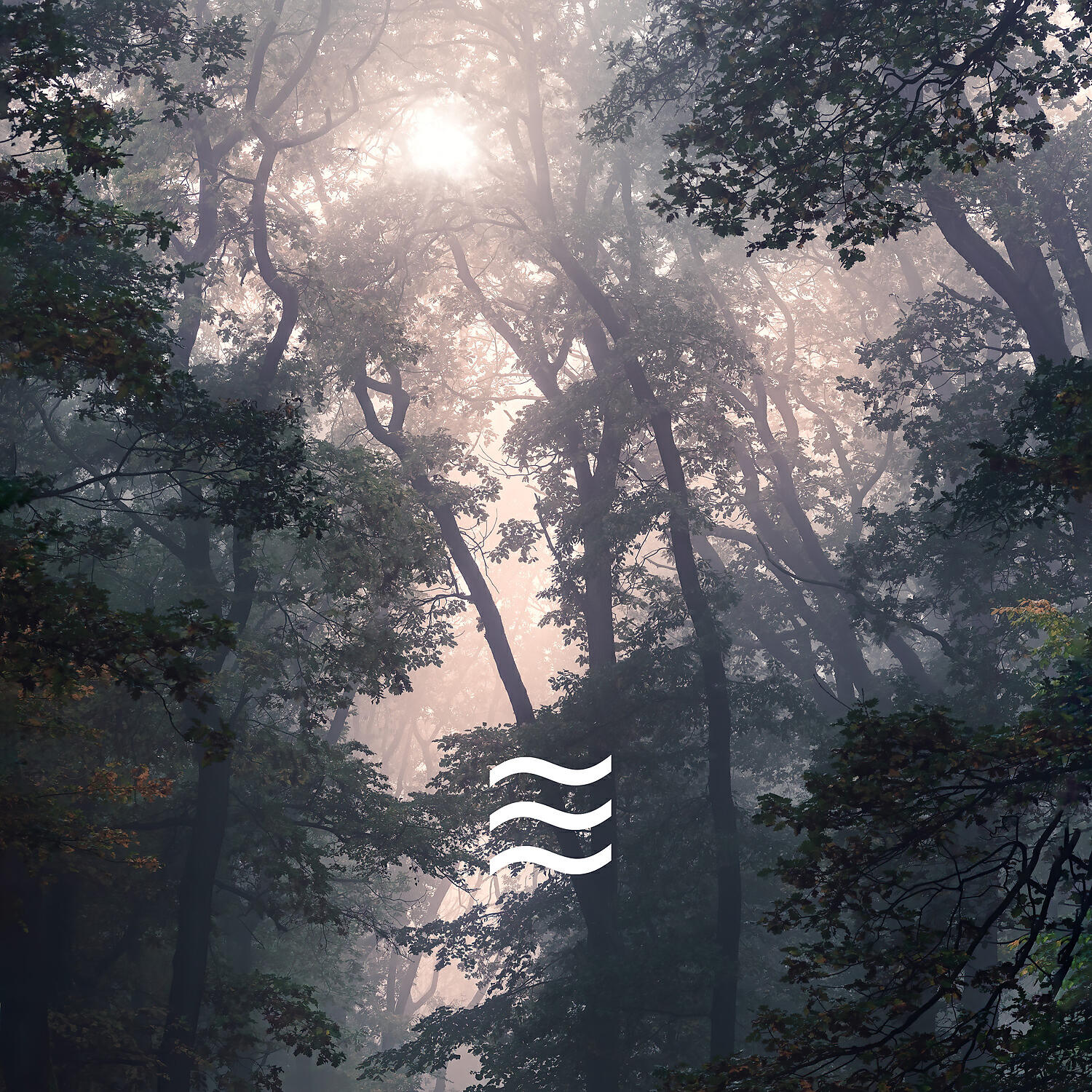 Rain Sounds Sleep White Noise - Shushing Raining for Kids Calm