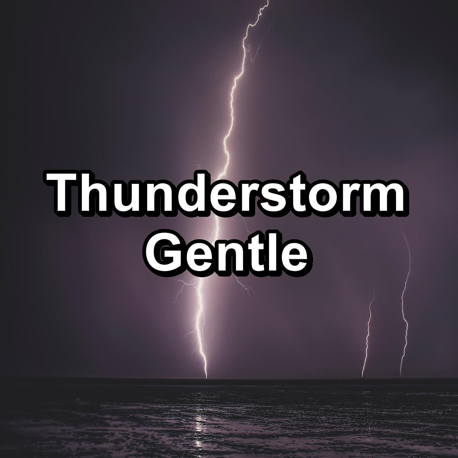 Постер альбома Thunderstorm Gentle
