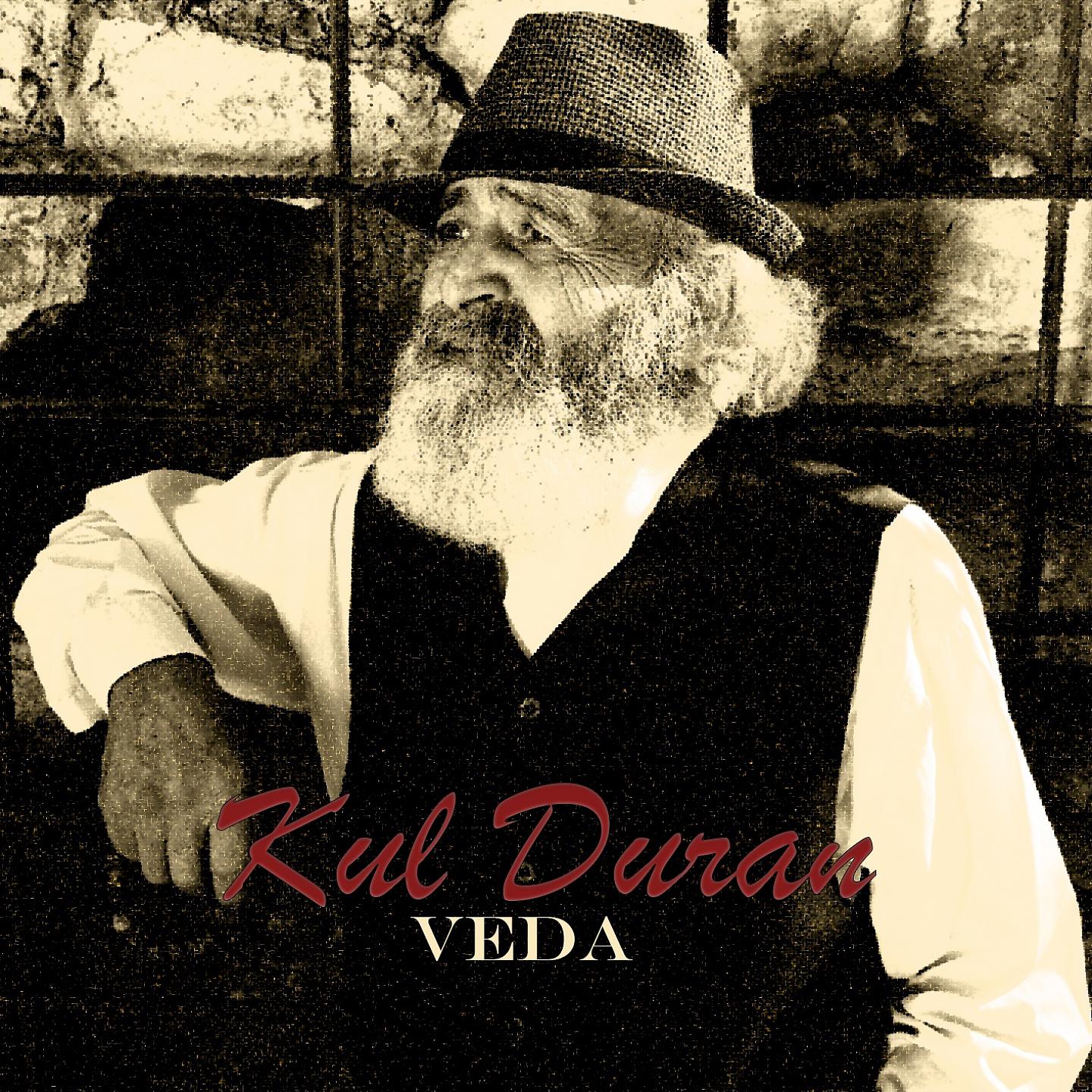 Постер альбома Veda