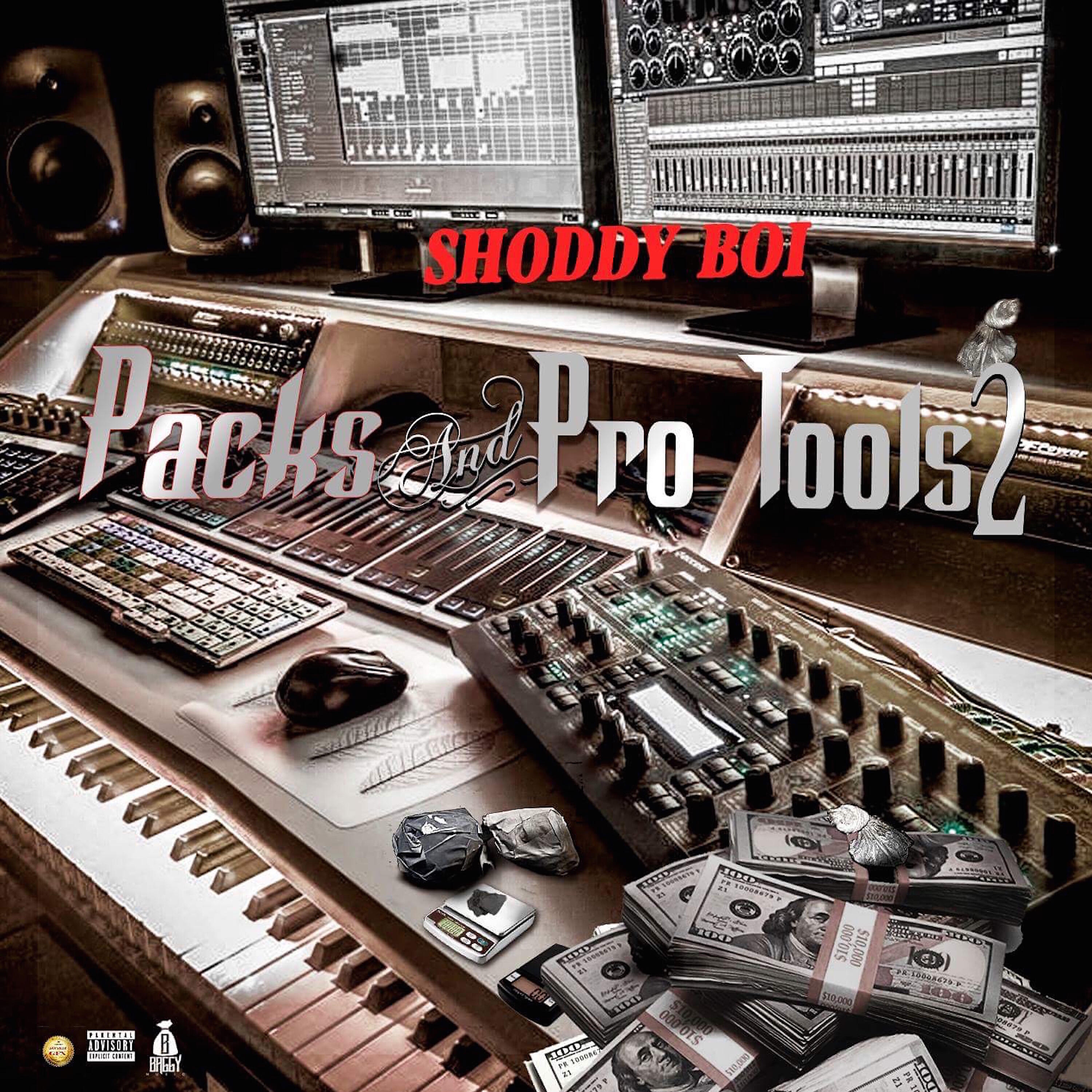Shoddy Boi - Tied in It