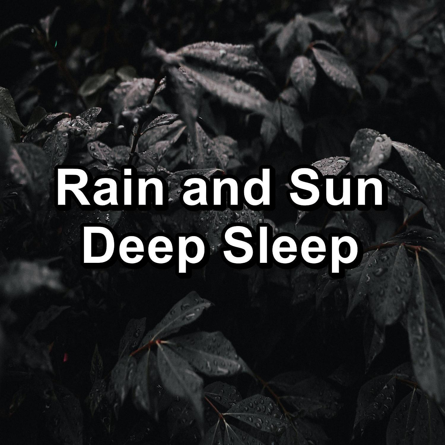 Постер альбома Rain and Sun Deep Sleep
