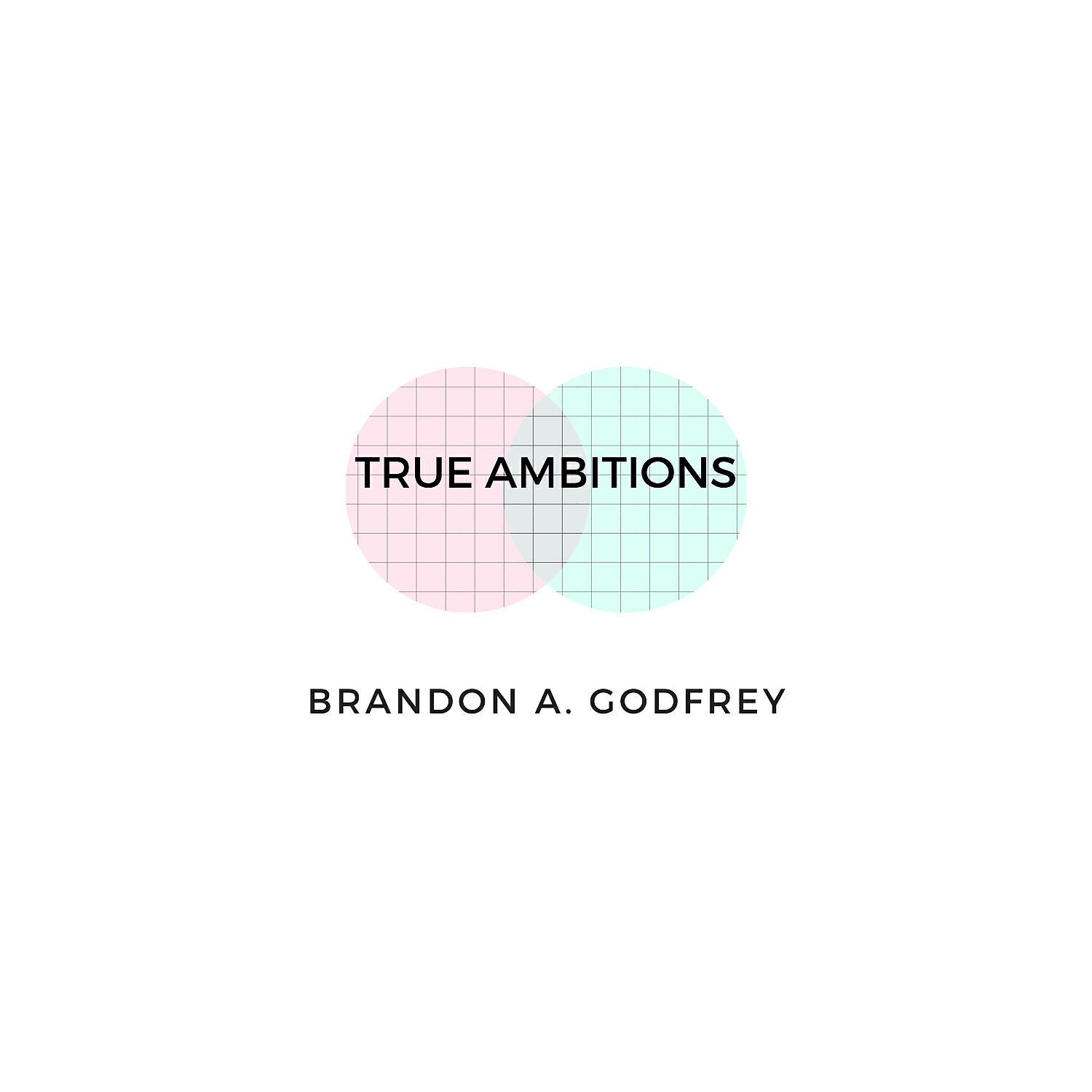Brandon A. Godfrey - True Ambitions