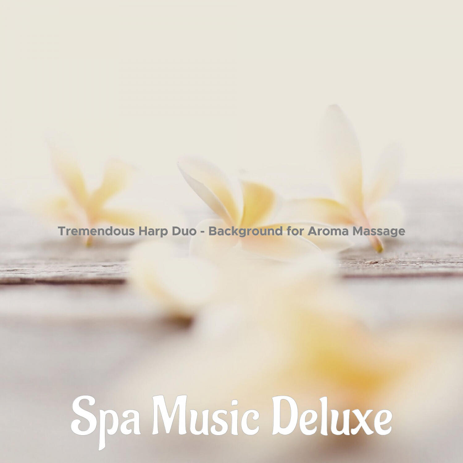 Spa Music Deluxe - Sublime Ambiance for Aroma Massage