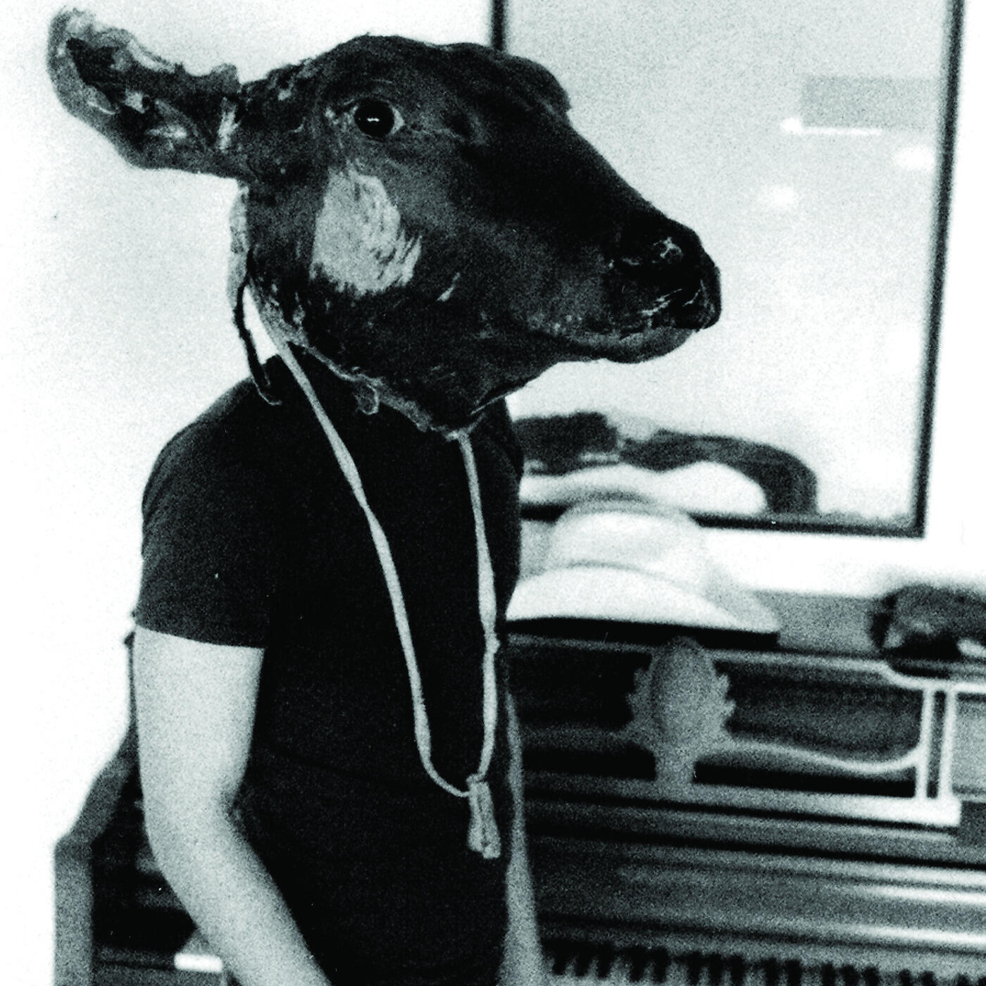 Shakey Graves - Roll the Bones