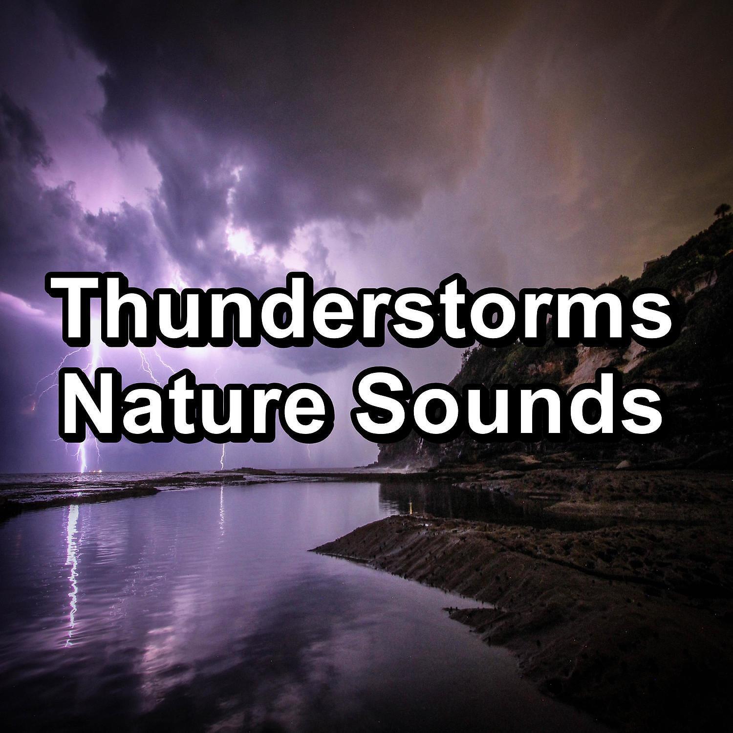 Deep Sleep Music Experience - Heavy Rain with Alpha Waves For Babies to Relax and Rest