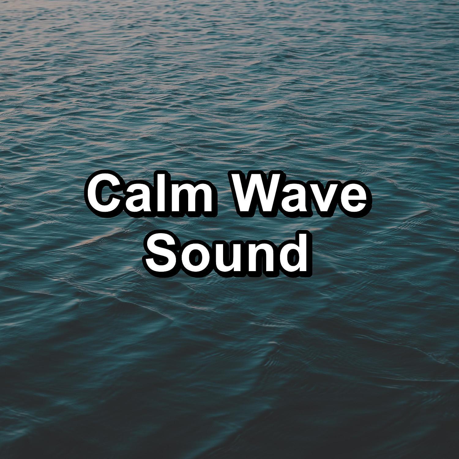 Постер альбома Calm Wave Sound