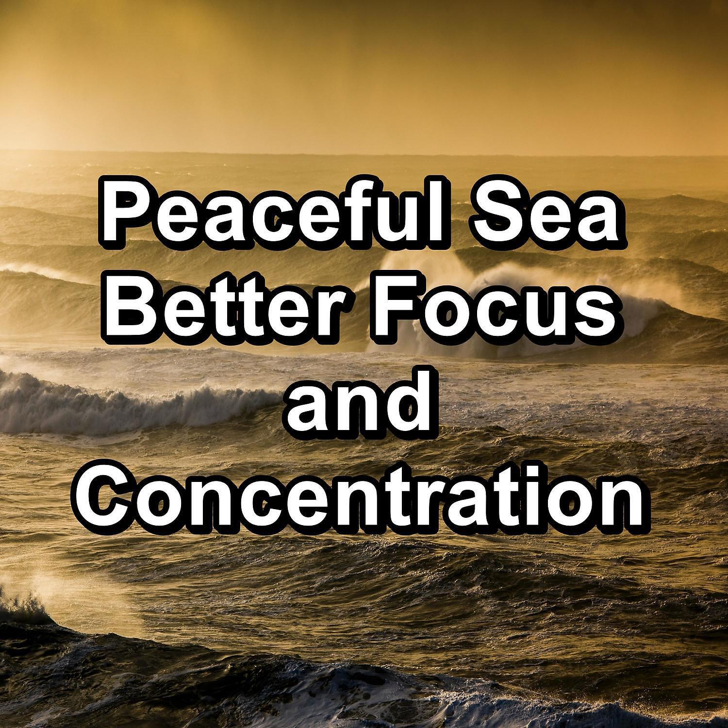 Echoes Of Nature - Wave Sounds With Nature Music New Age Music