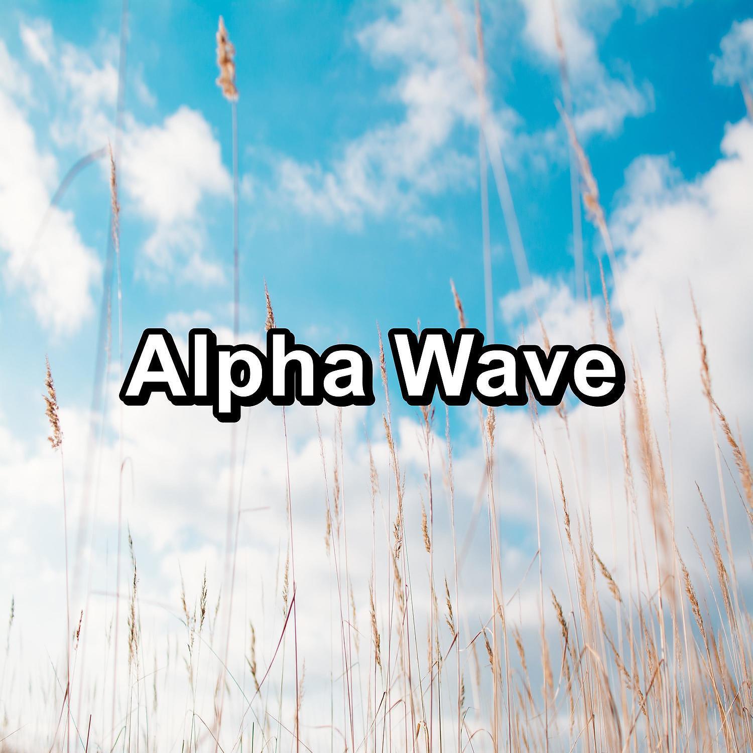 Pink Noise Sleep - Soft Fan Noise Sleep Therapy Help With Studying