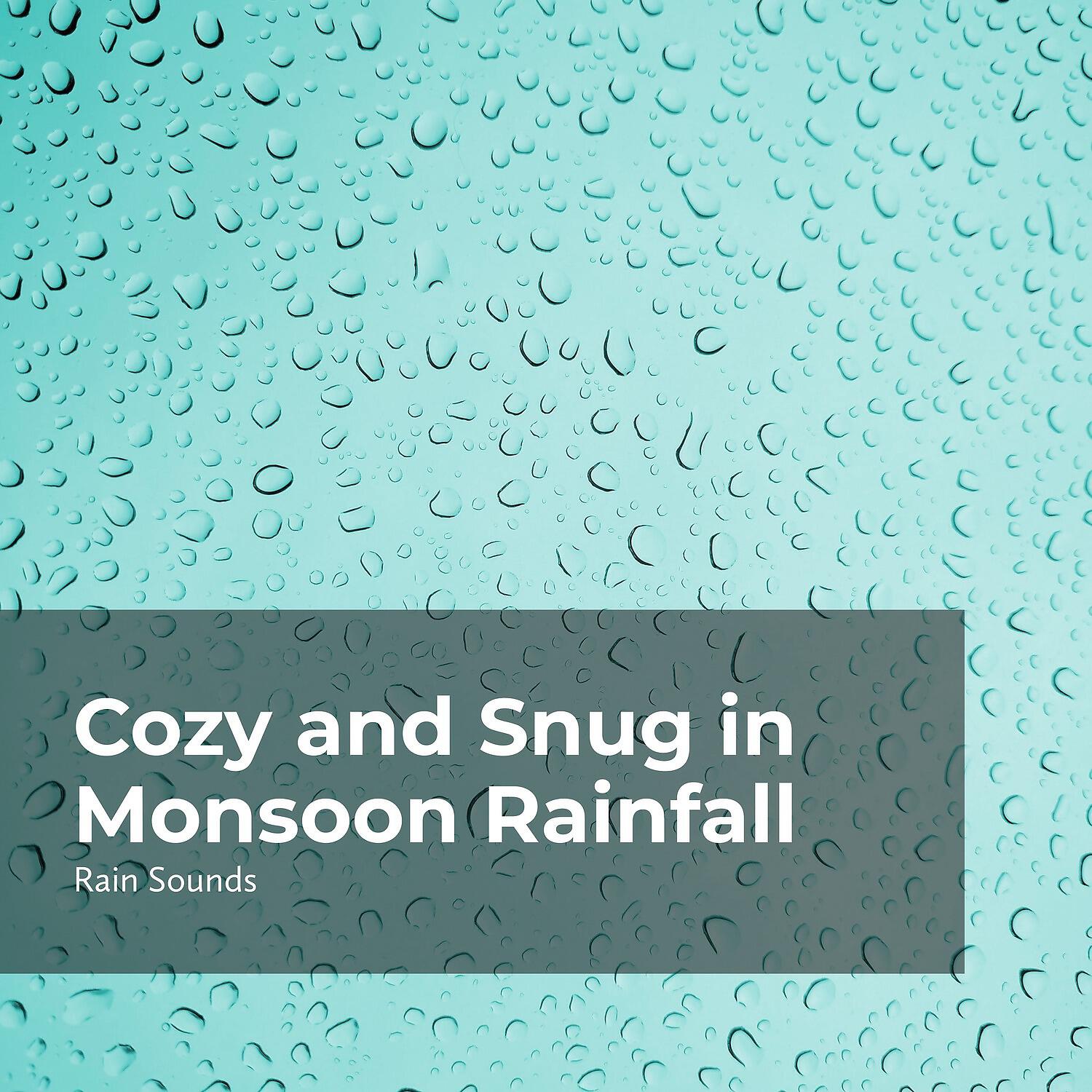 Rain Sounds - Rain Midnight Slumber