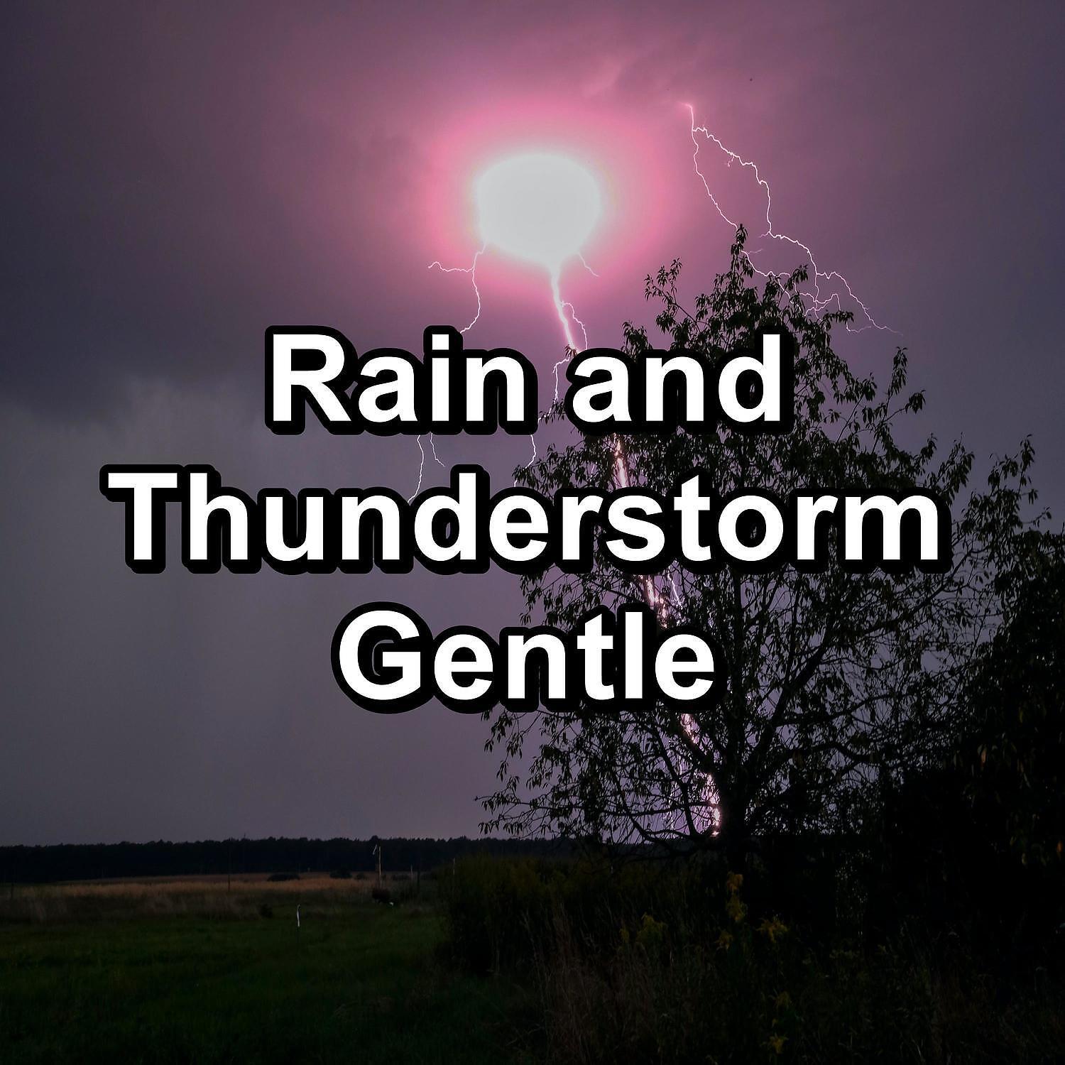 Rain For Deep Sleep - Pebbles in the Puddle with Thunder