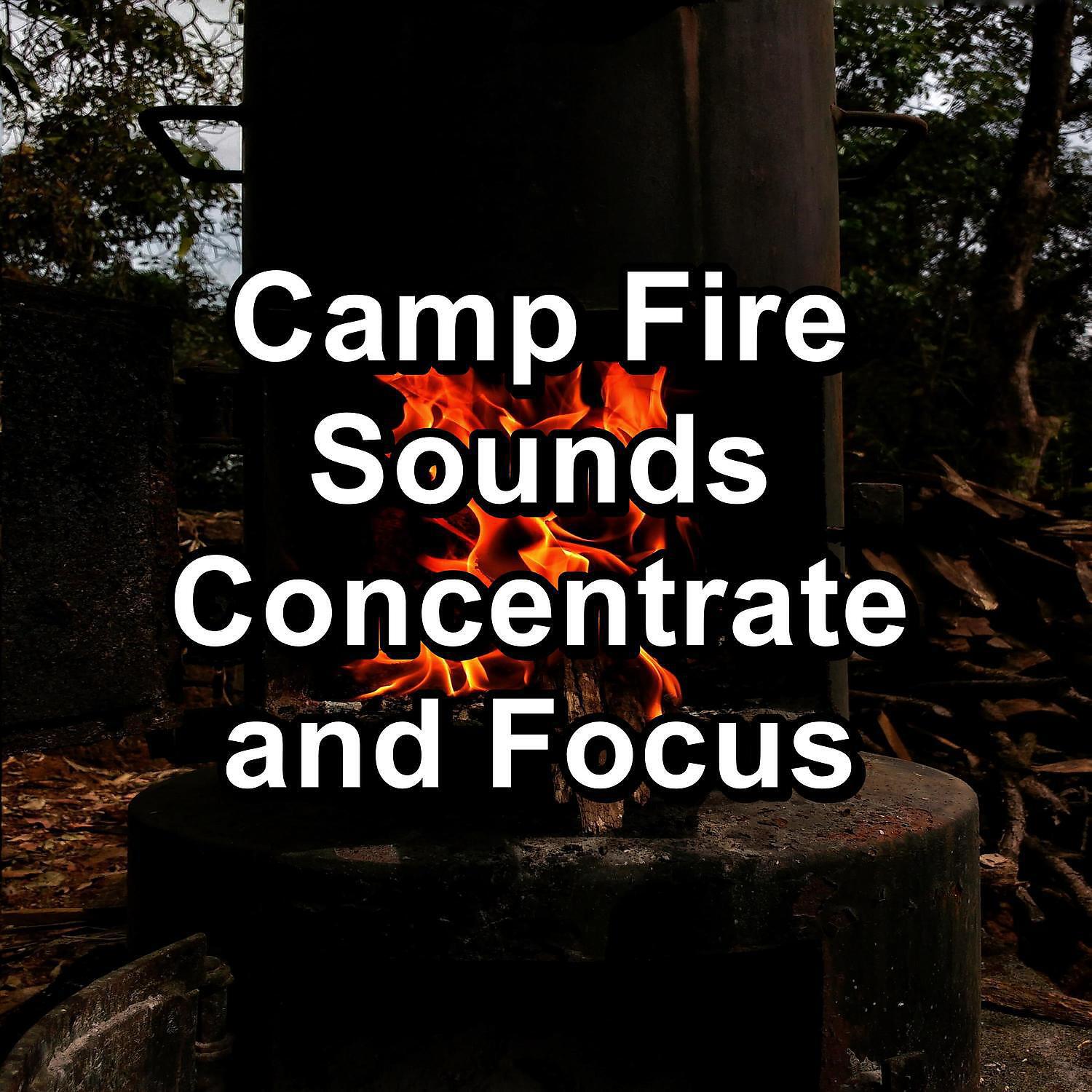 Campfire Sounds - ASMR Fire Place Sounds