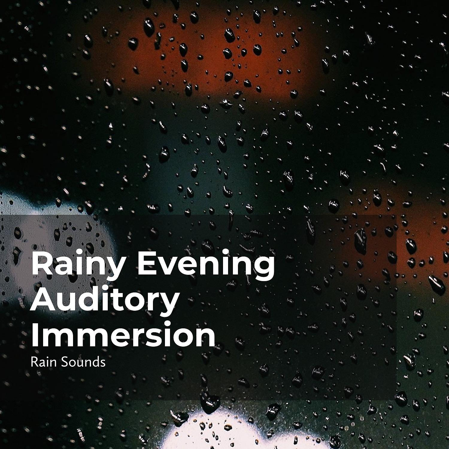 Постер альбома Rainy Evening Auditory Immersion