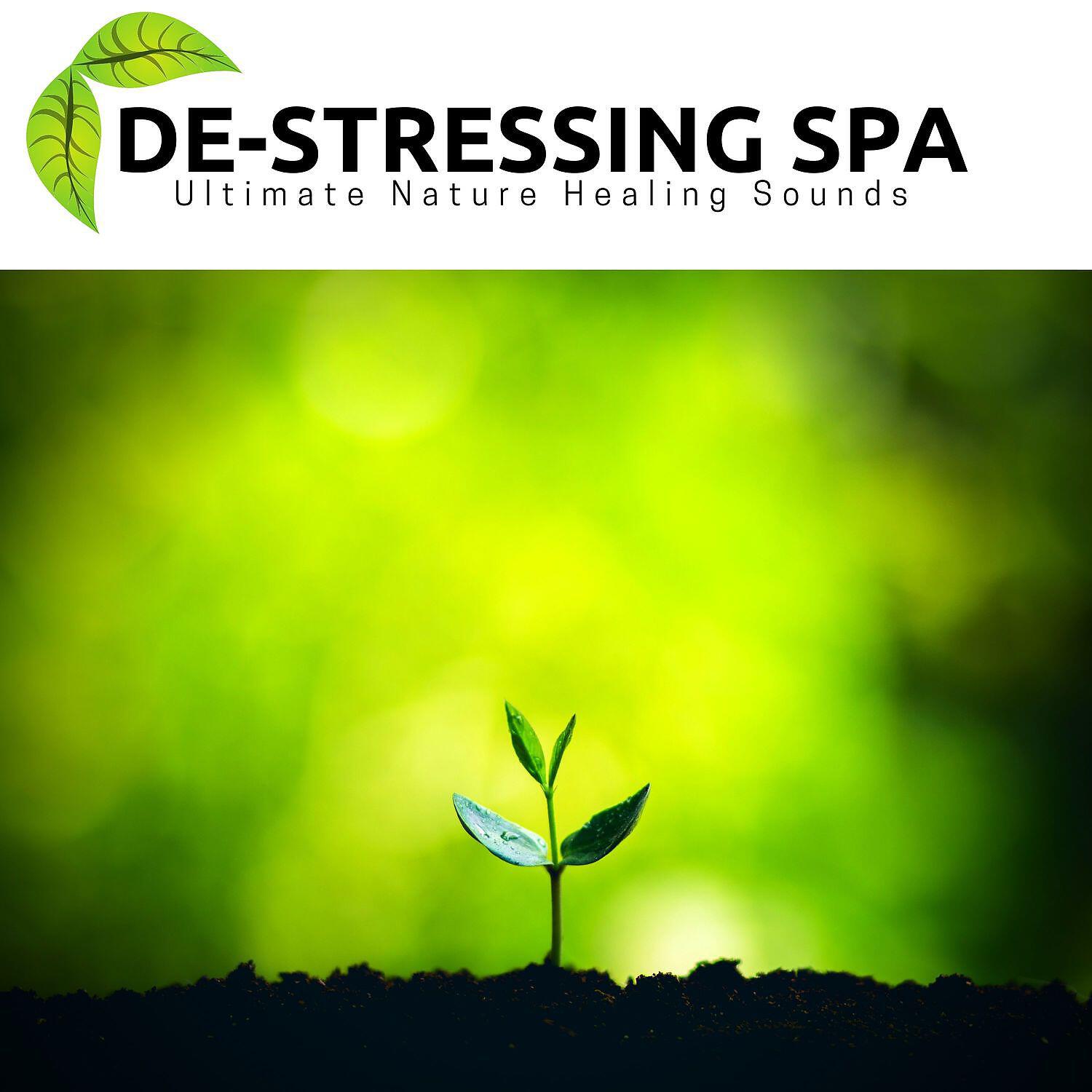 Amazing Spa Music - Roadside Spa