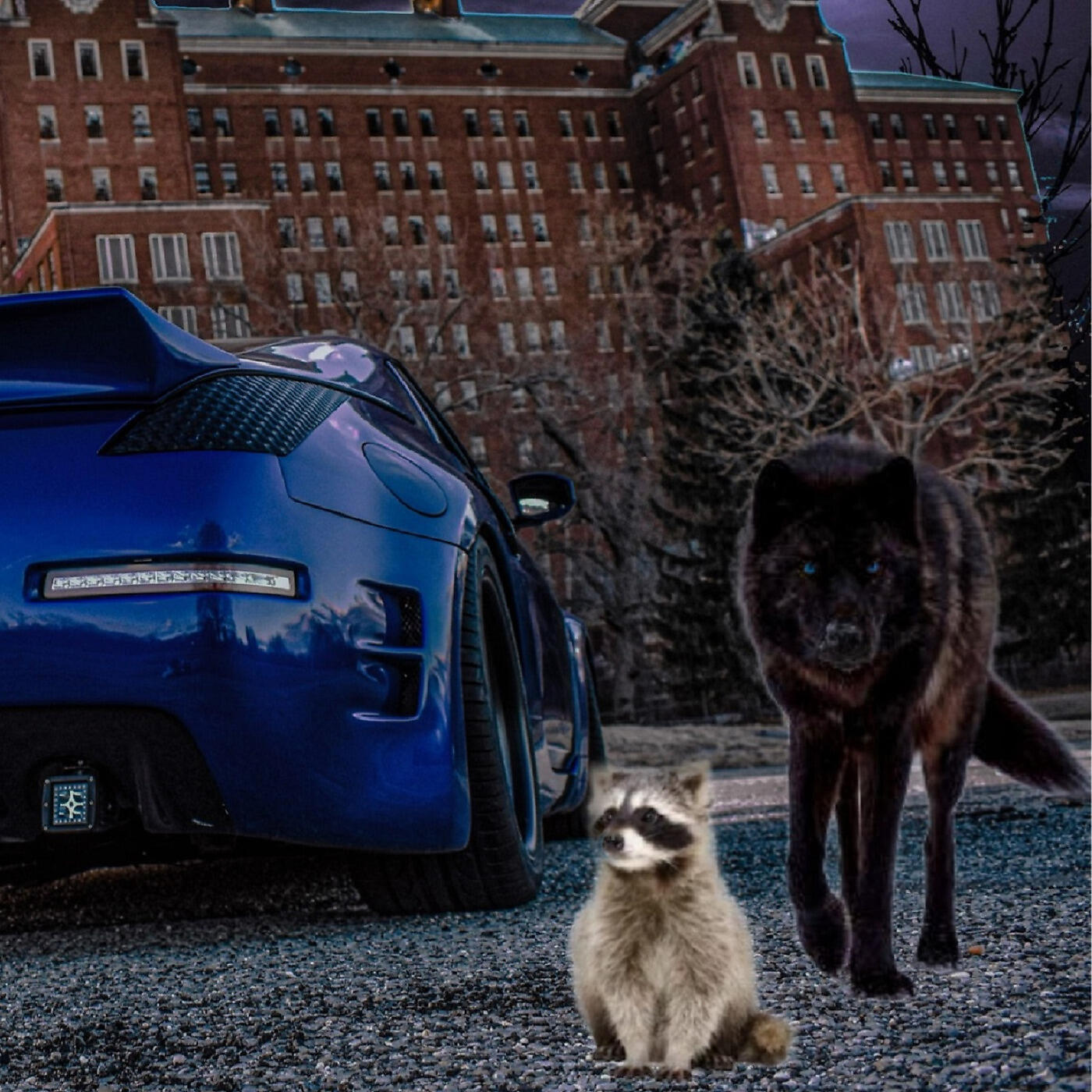 dj blue dreamz - Trash Panda
