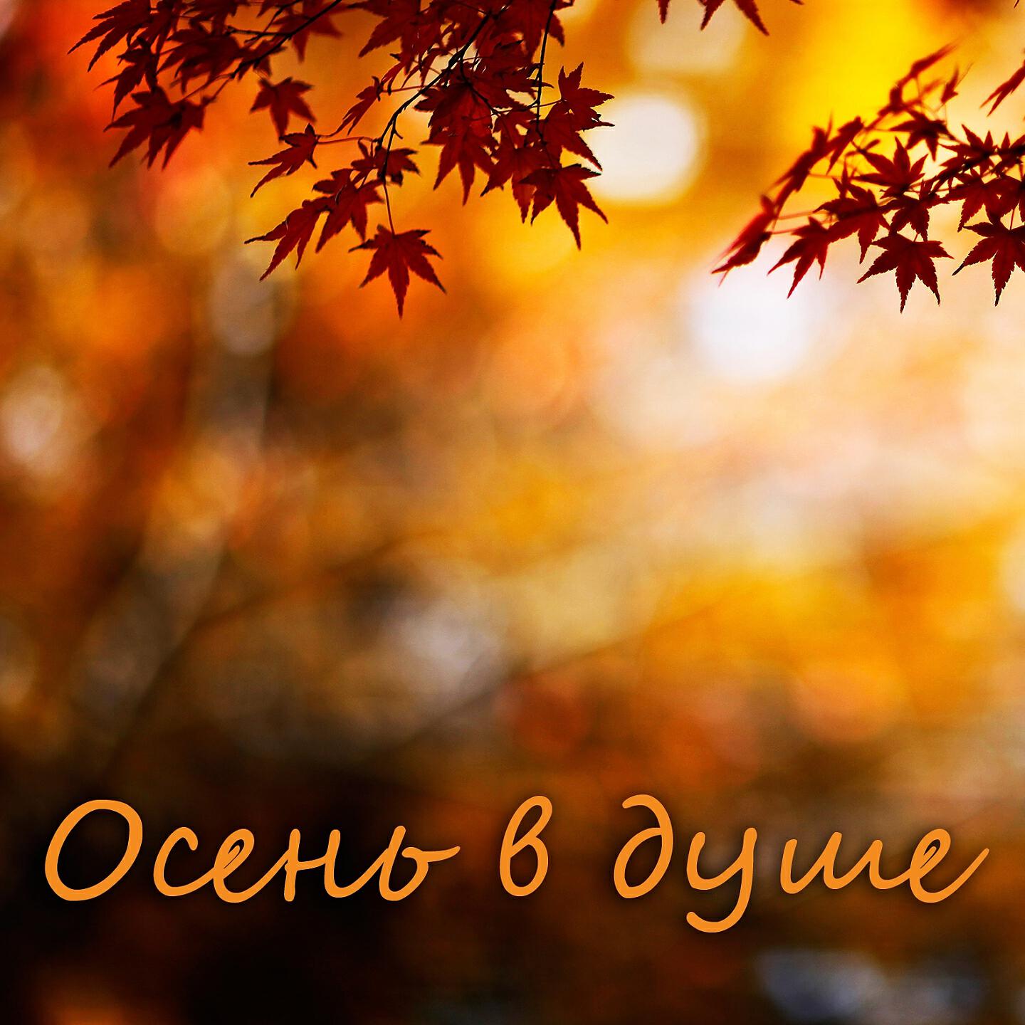 осенняя печаль. осенняя печаль. осенние шутки. осень разлука. грустная осень.