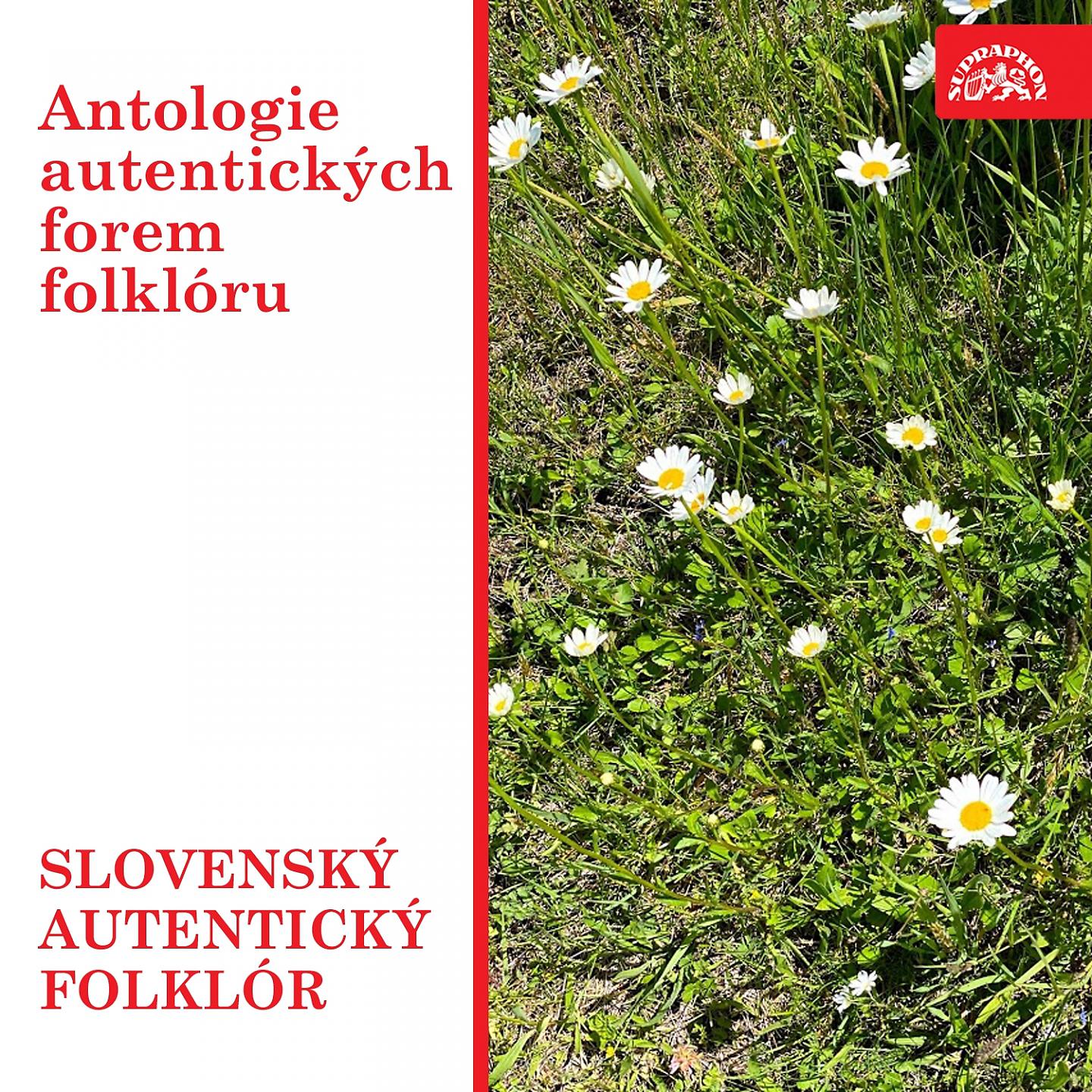 Постер альбома Antologie autentických forem folklóru. Slovenský autentický folklór.