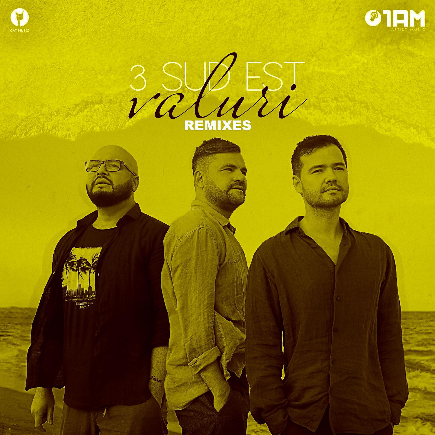3 SUD EST - Valuri (DJ Marvio & Lucian Iordache Remix)