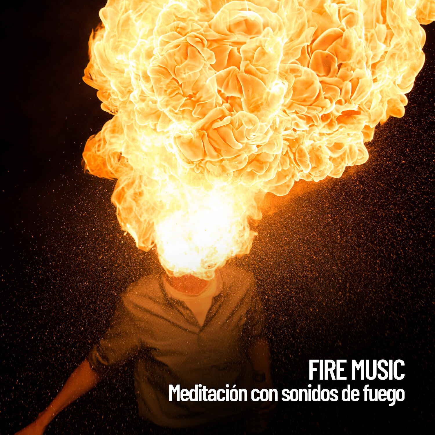 Fireplace Sounds - Música para el fuego interior