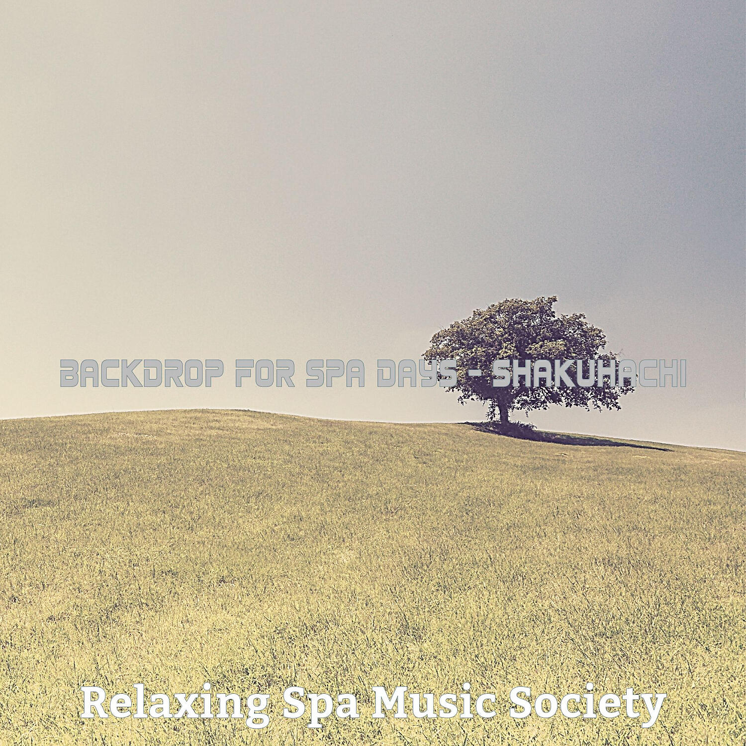 Relaxing Spa Music Society - Relaxing Moods for Spa Treatments