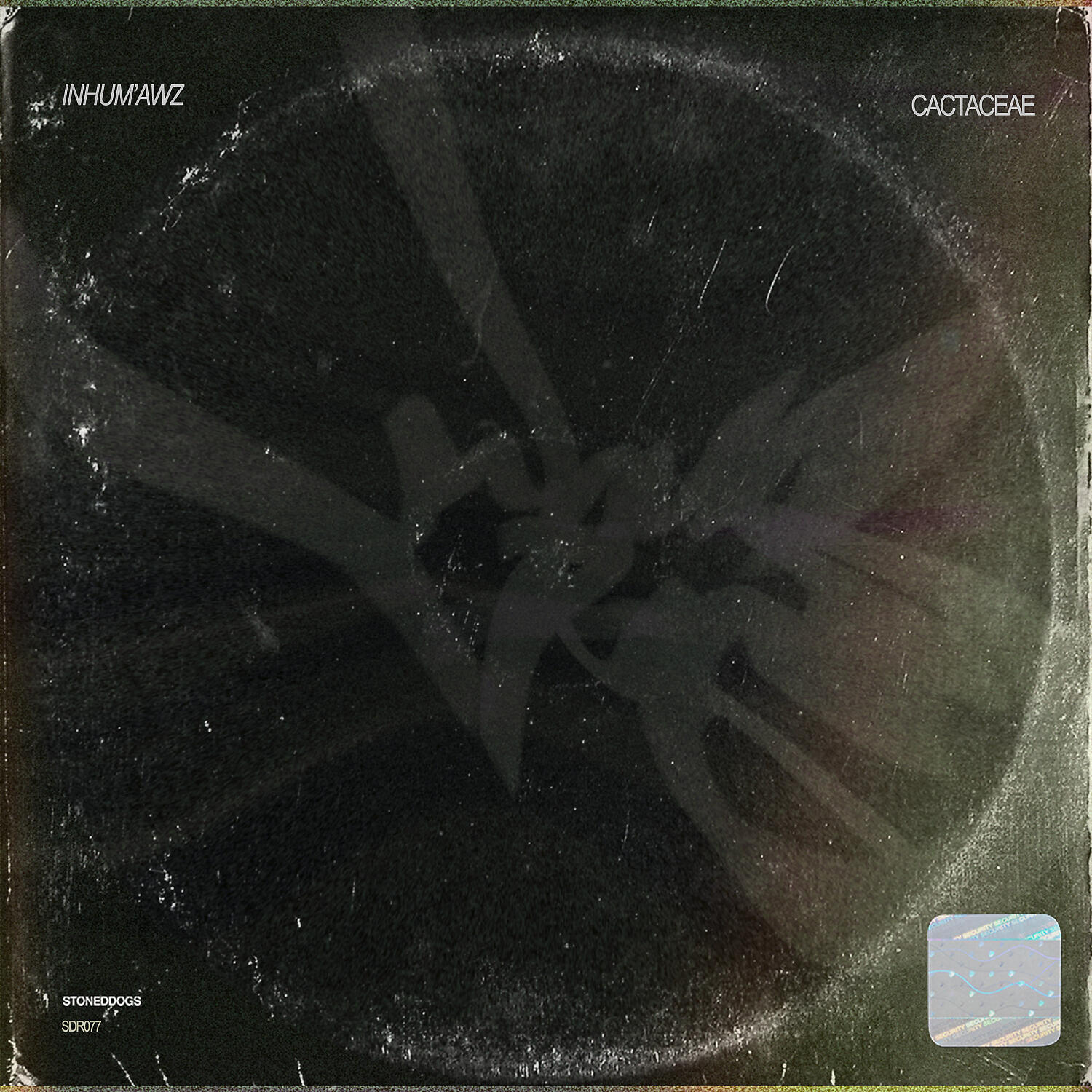 INHUM'Awz - Mammillaria