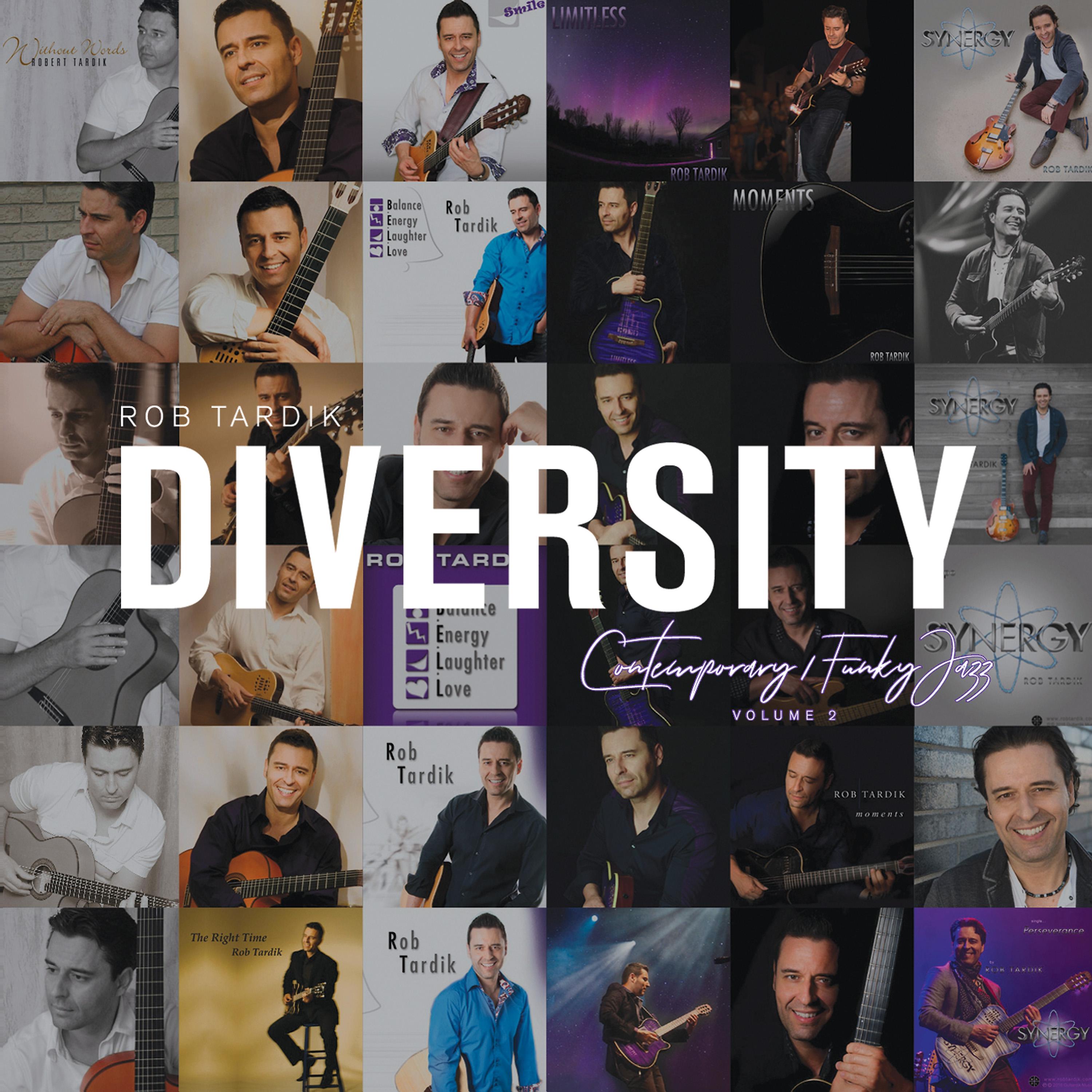 Постер альбома Diversity, Vol. 2: Contemporary Funky Jazz