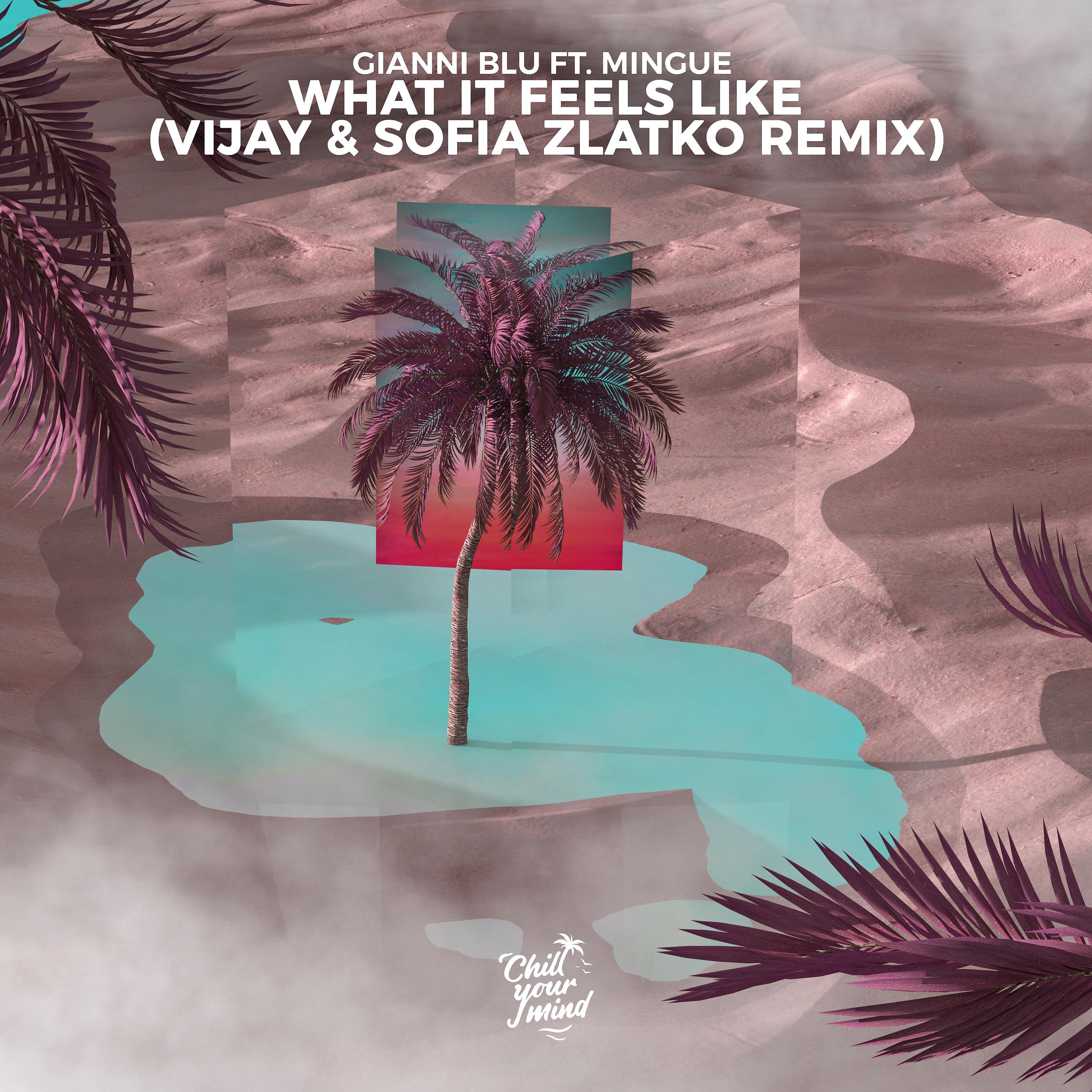 Постер альбома What It Feels Like ((Vijay & Sofia Zlatko Remix))