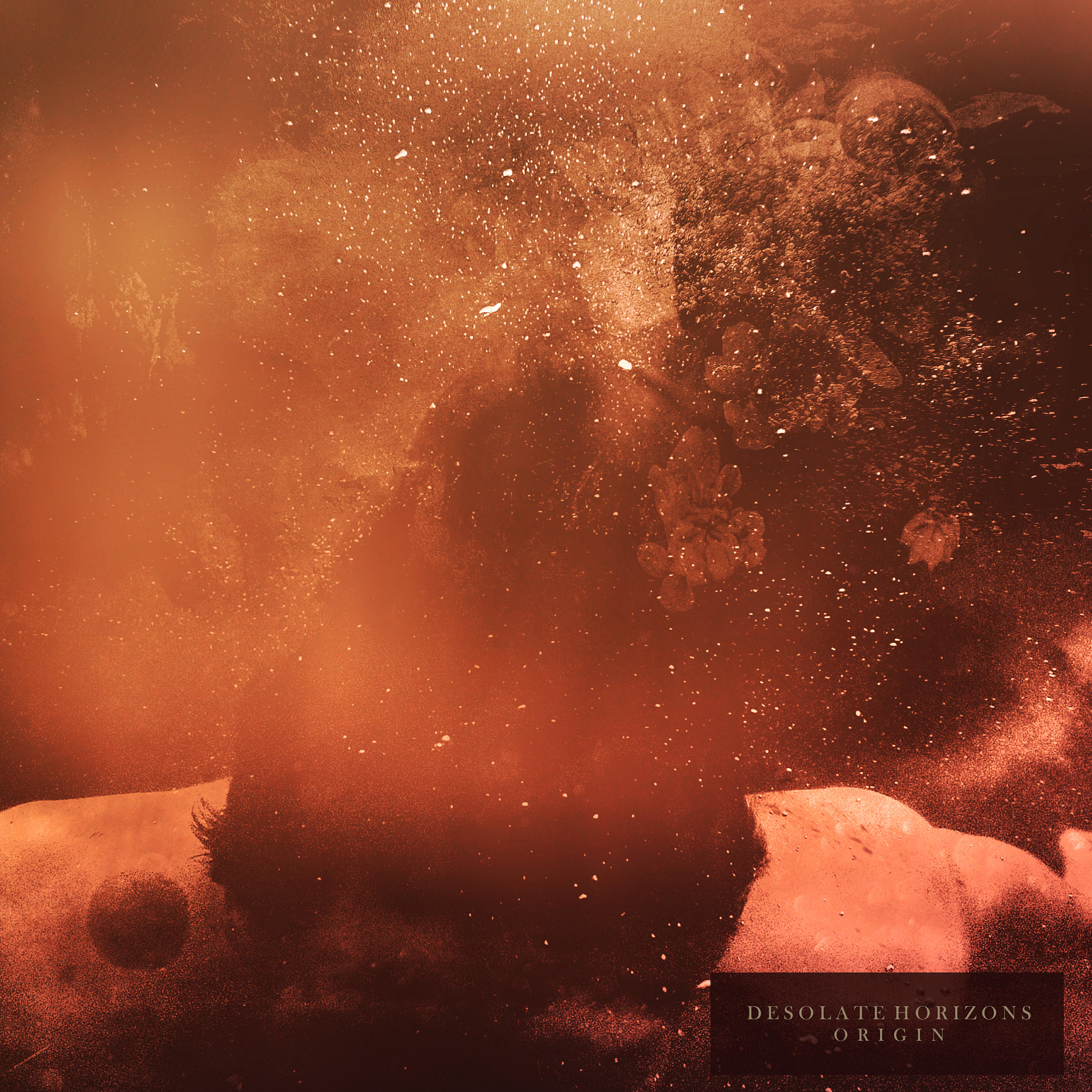 Desolate Horizons - Agape