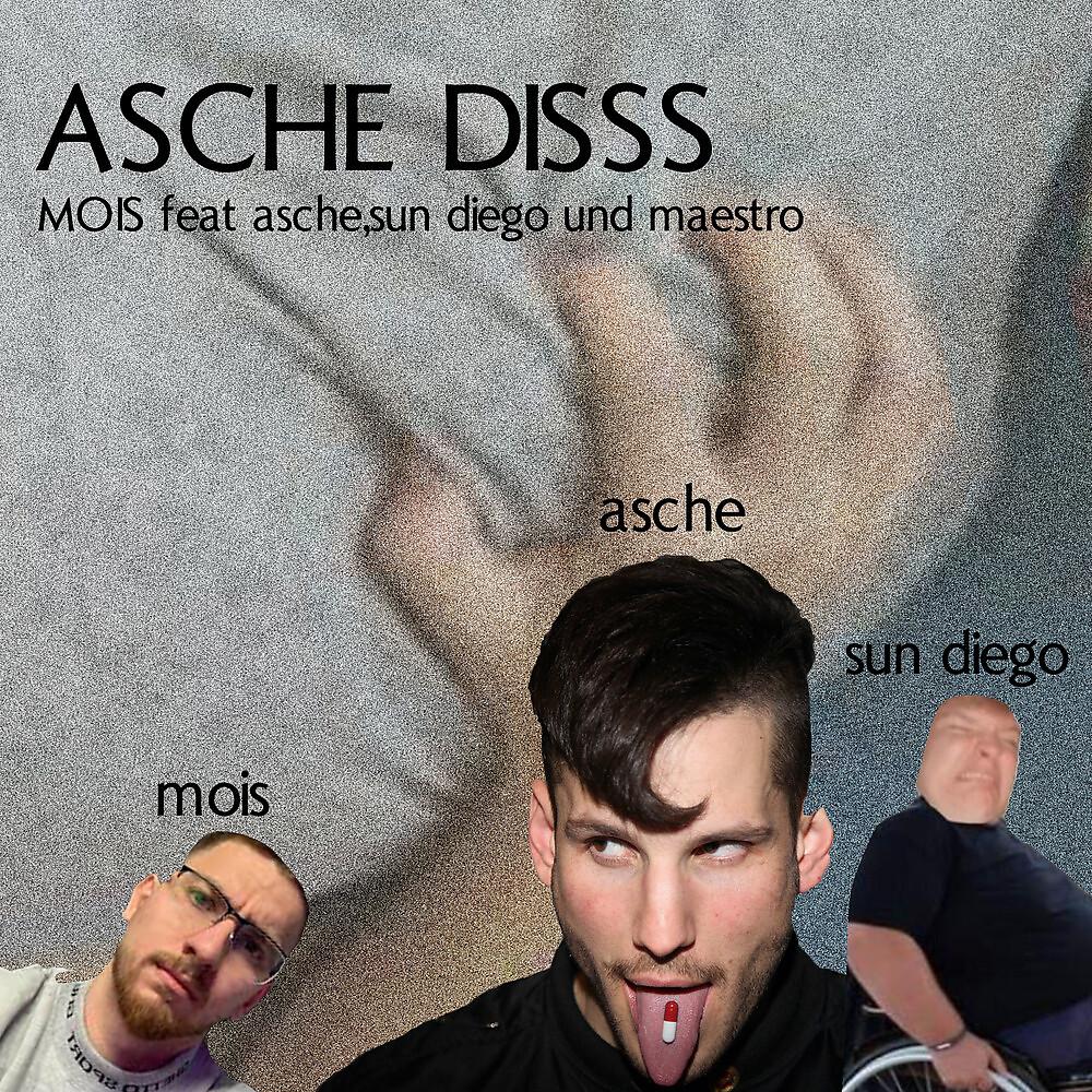 Постер альбома Asche Diss