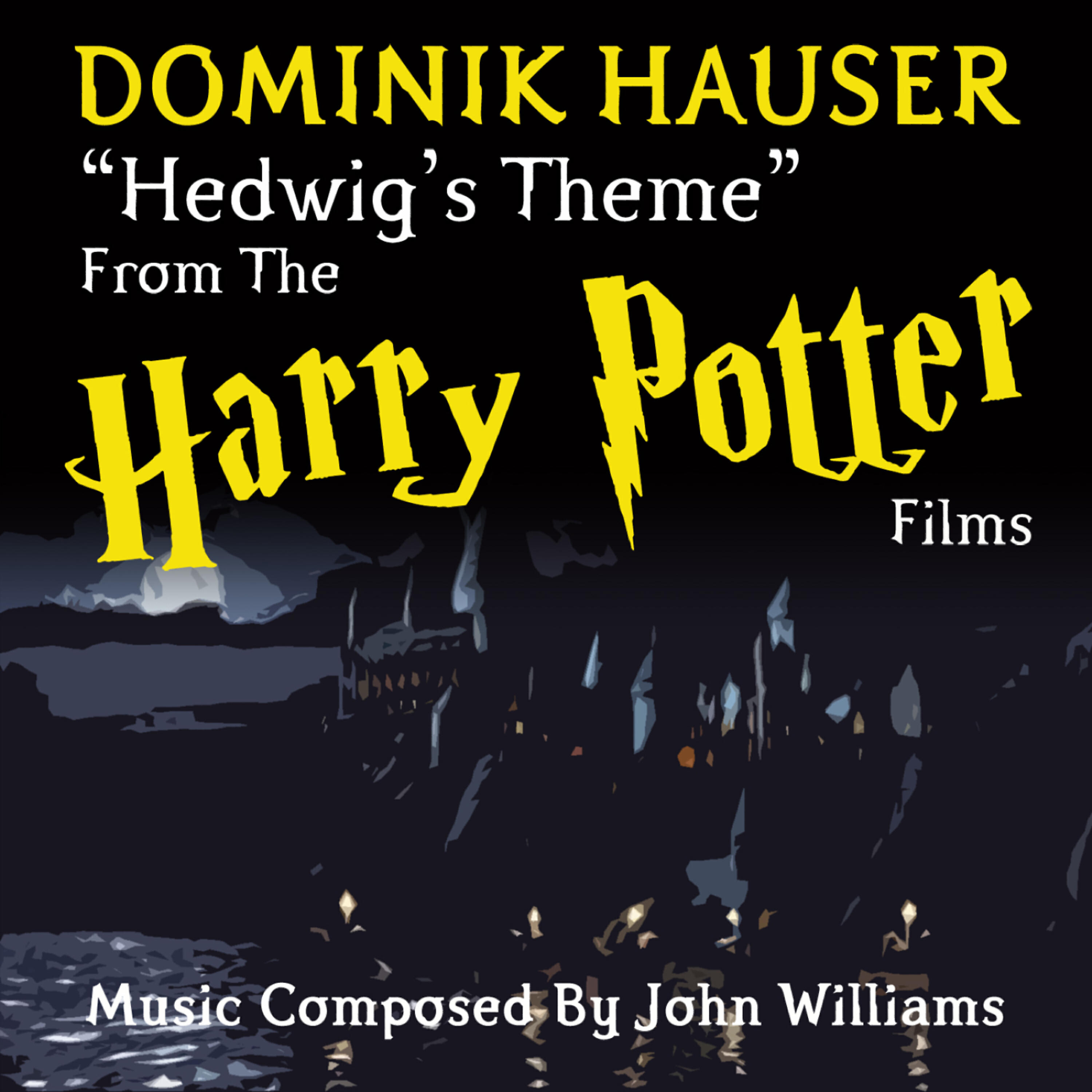 Dominik Hauser - Harry Potter: Hedwig's Theme (John WIlliams)