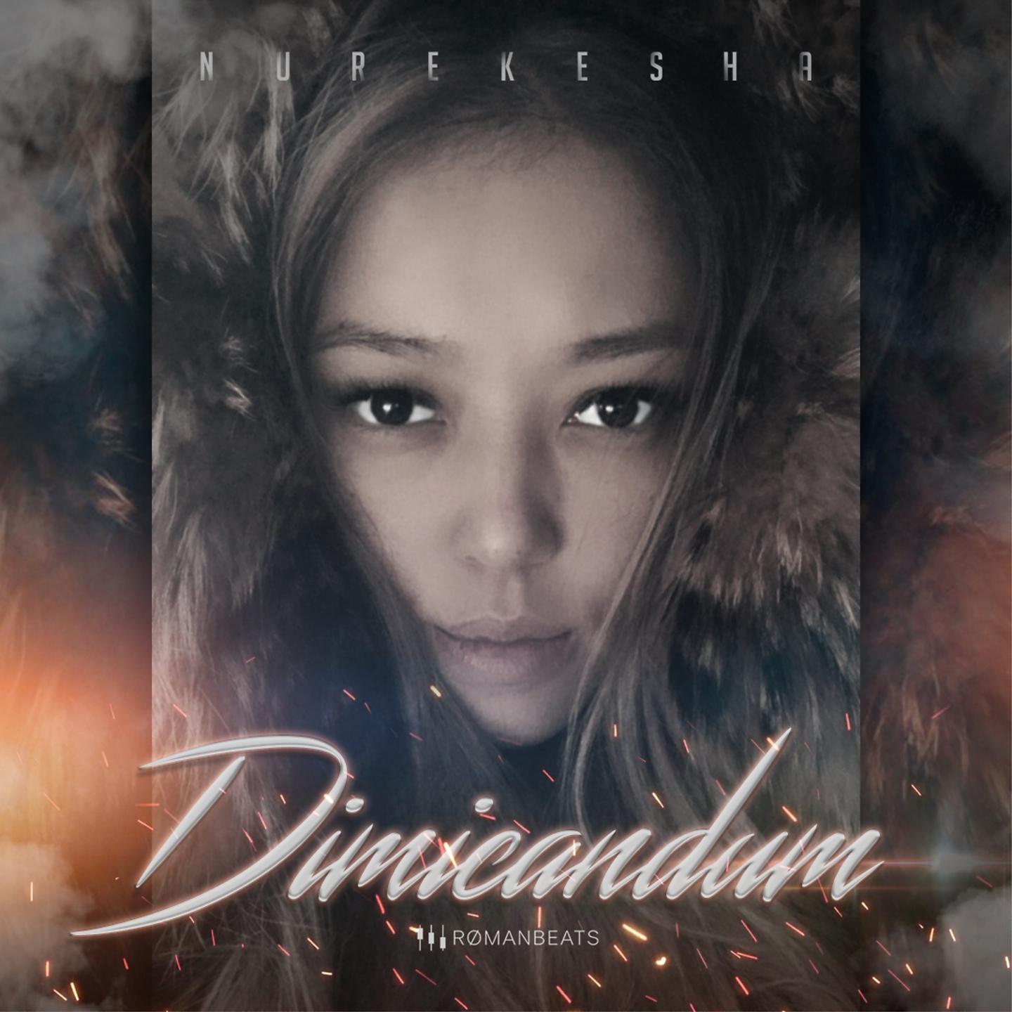 Постер альбома Dimicandum