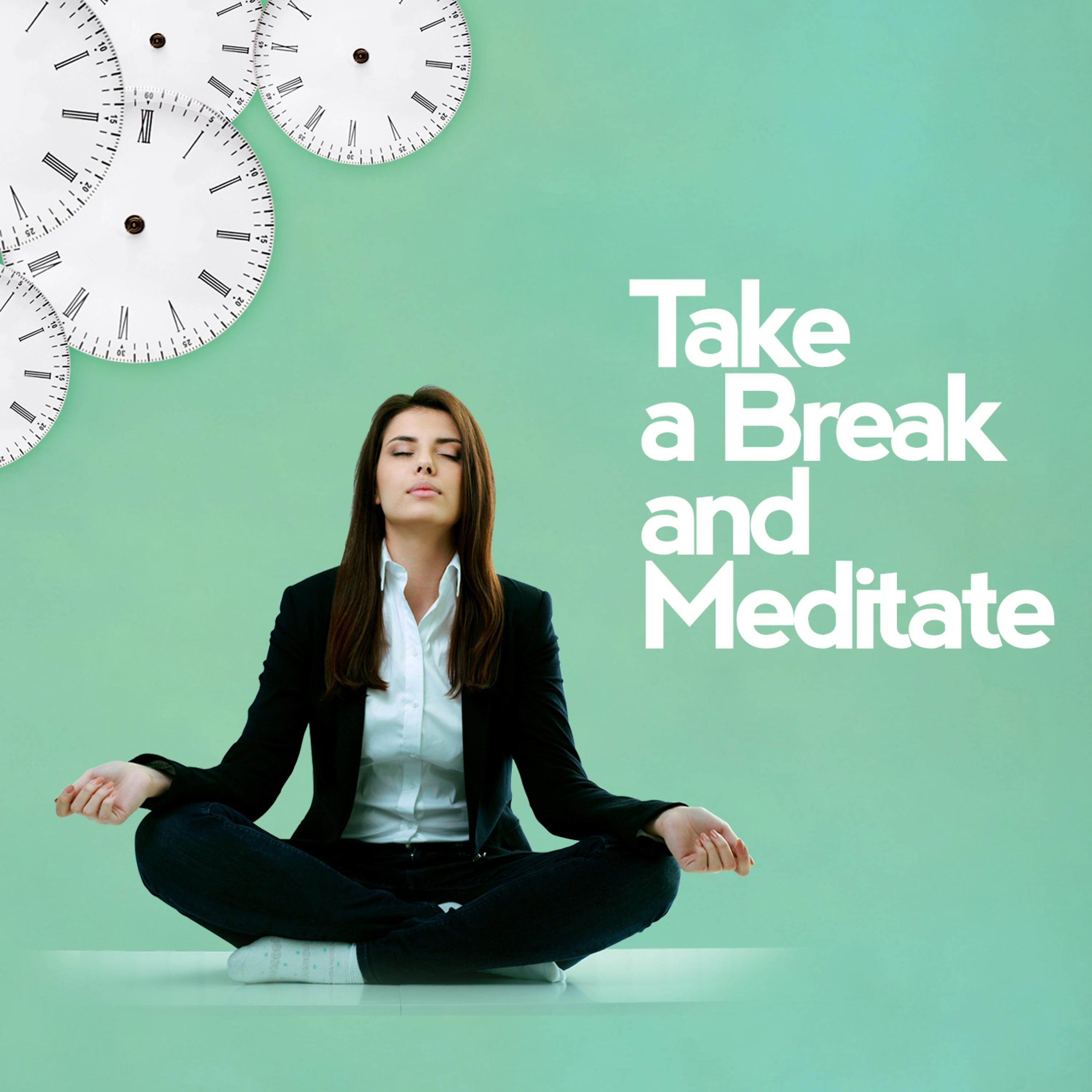 Постер альбома Take a Break and Meditate