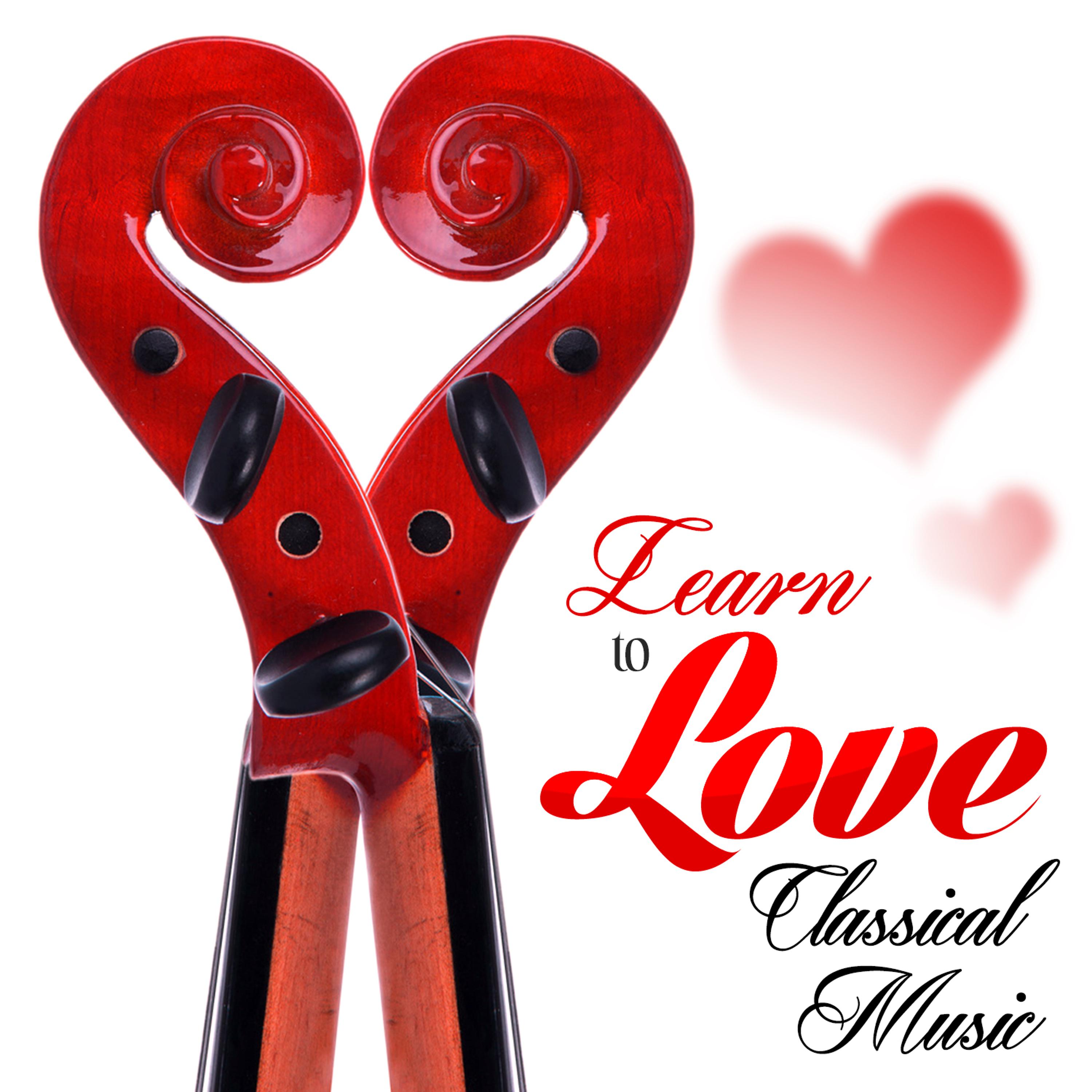 Постер альбома Learn to Love Classical Music