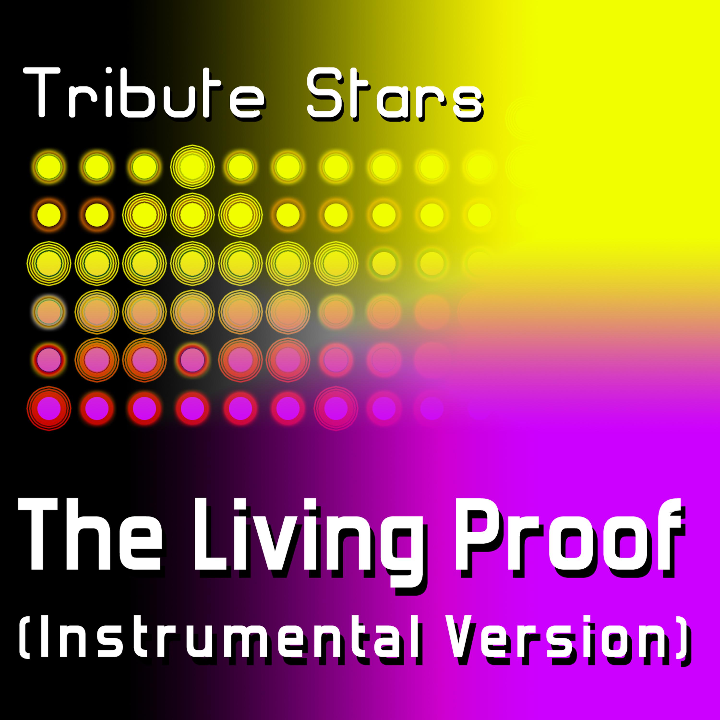 Постер альбома Mary J. Blige - The Living Proof (Instrumental Version)