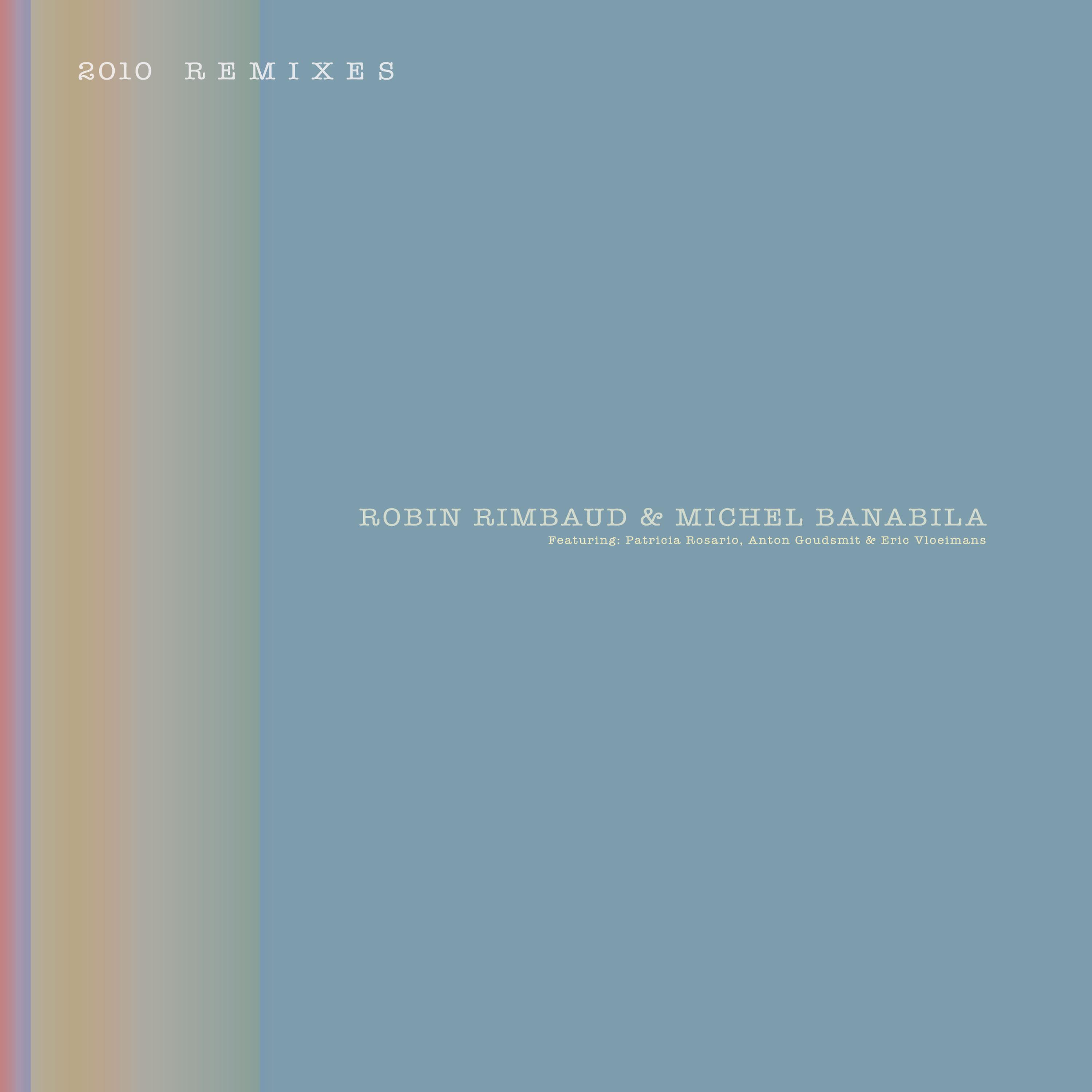 Постер альбома 2010 Remixes