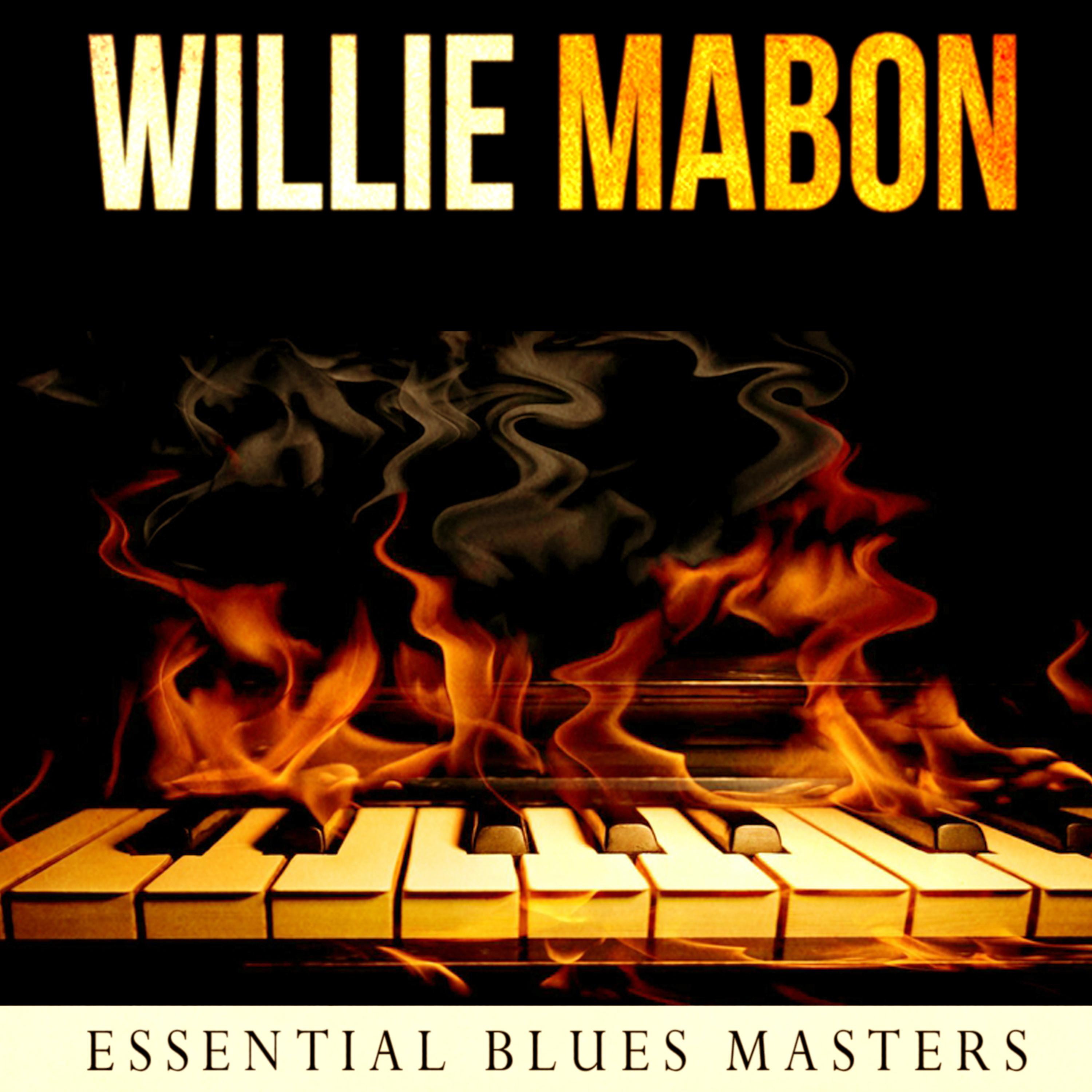 Постер альбома Essential Blues Masters