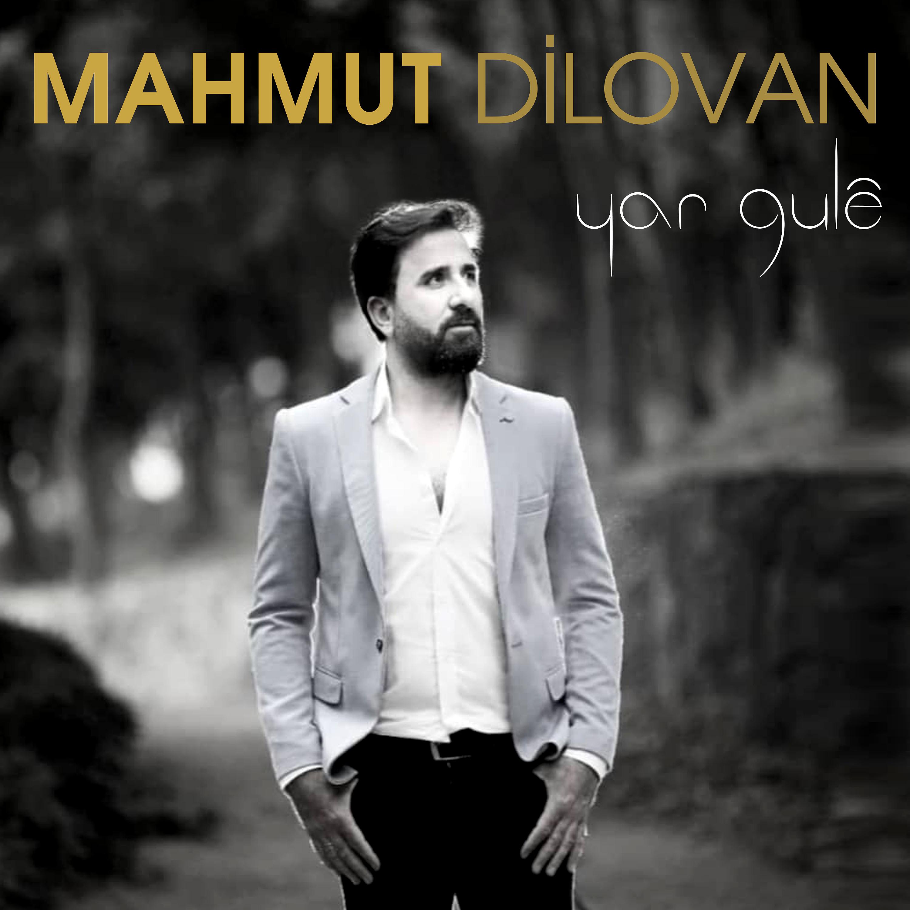 Постер альбома Yar Gulê