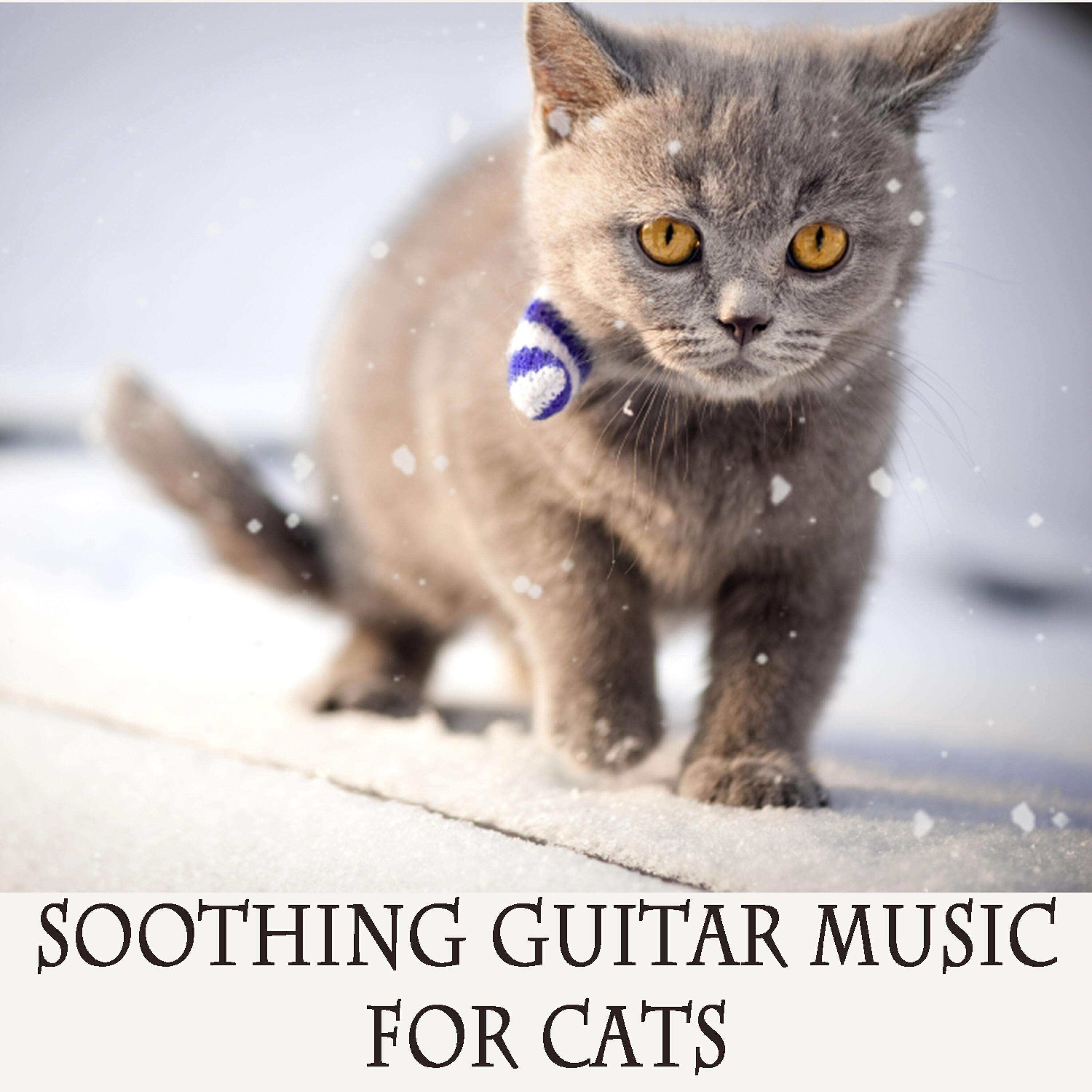 The O'Neill Brothers Group - A Wink and a Smile (Instrumental Version)