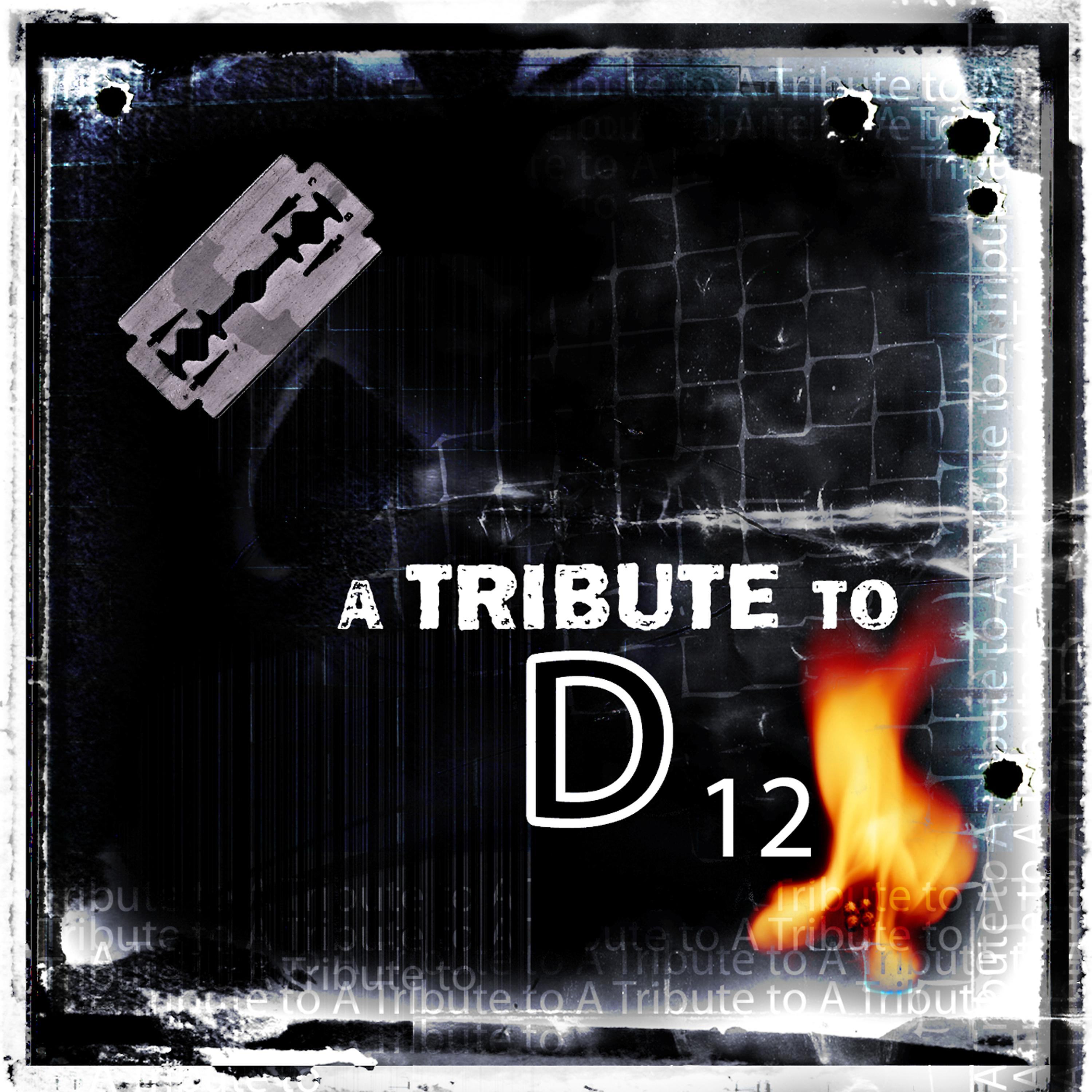 Постер альбома A Tribute To D 12