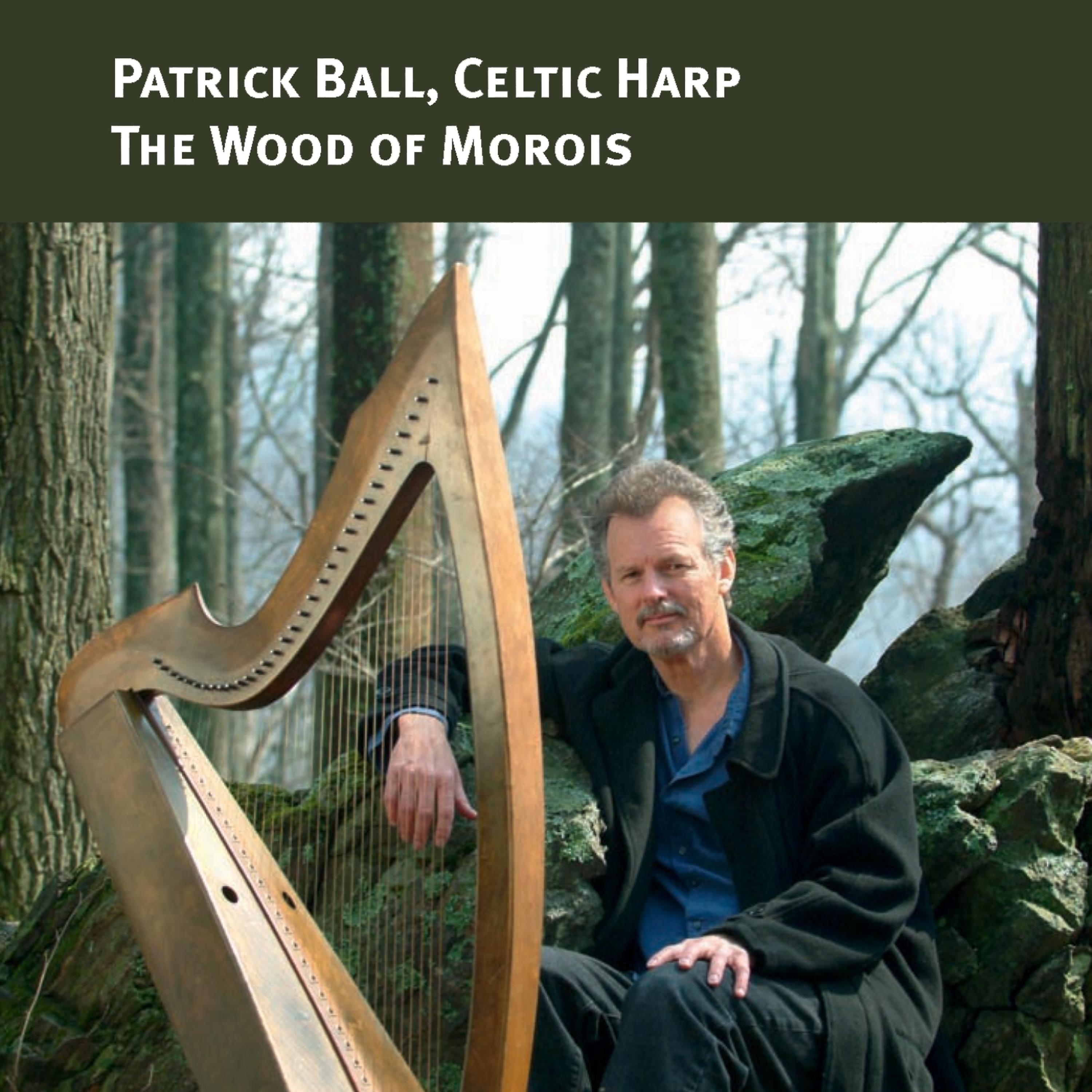 Постер альбома The Wood of Morois (Celtic Harp)