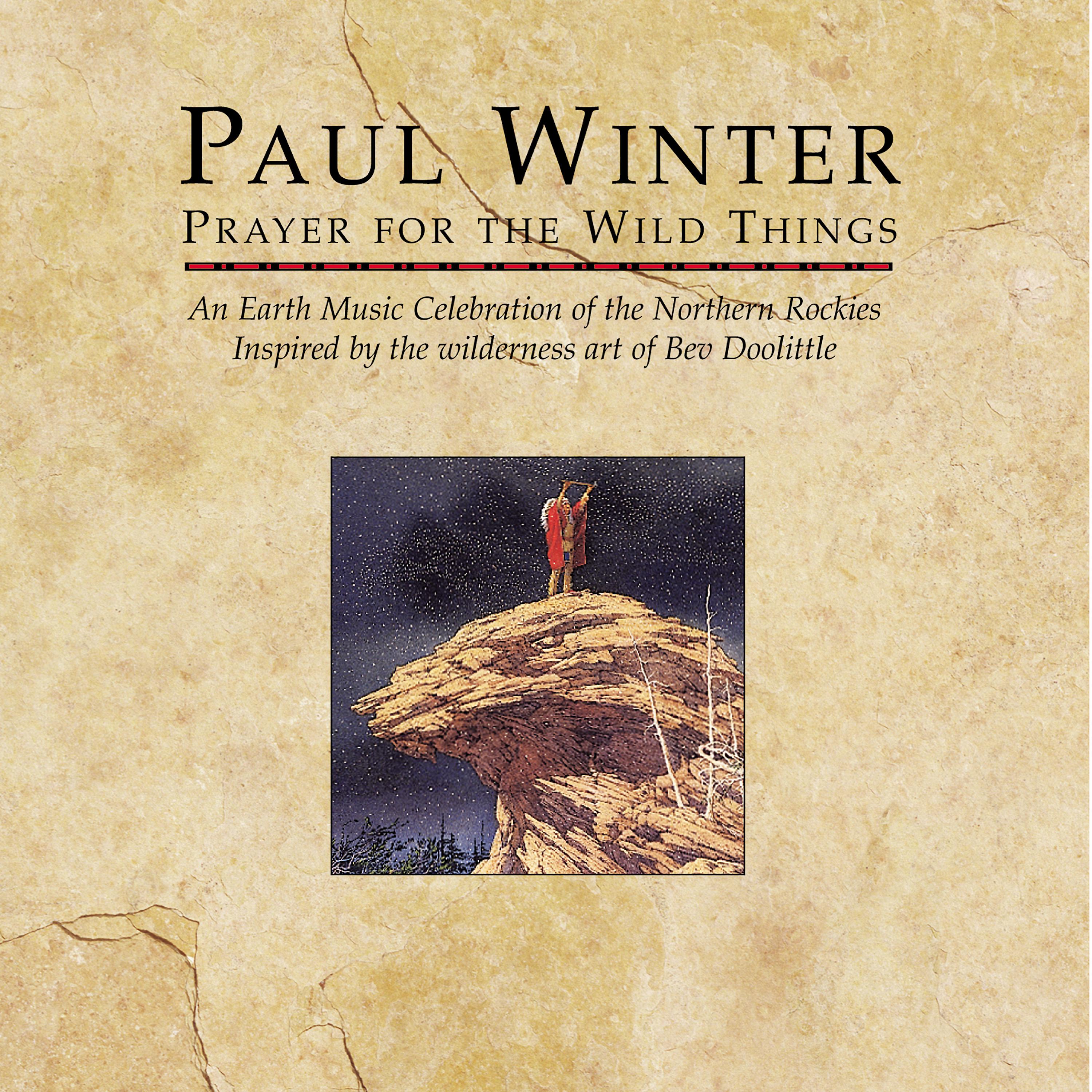 Постер альбома Prayer for the Wild Things