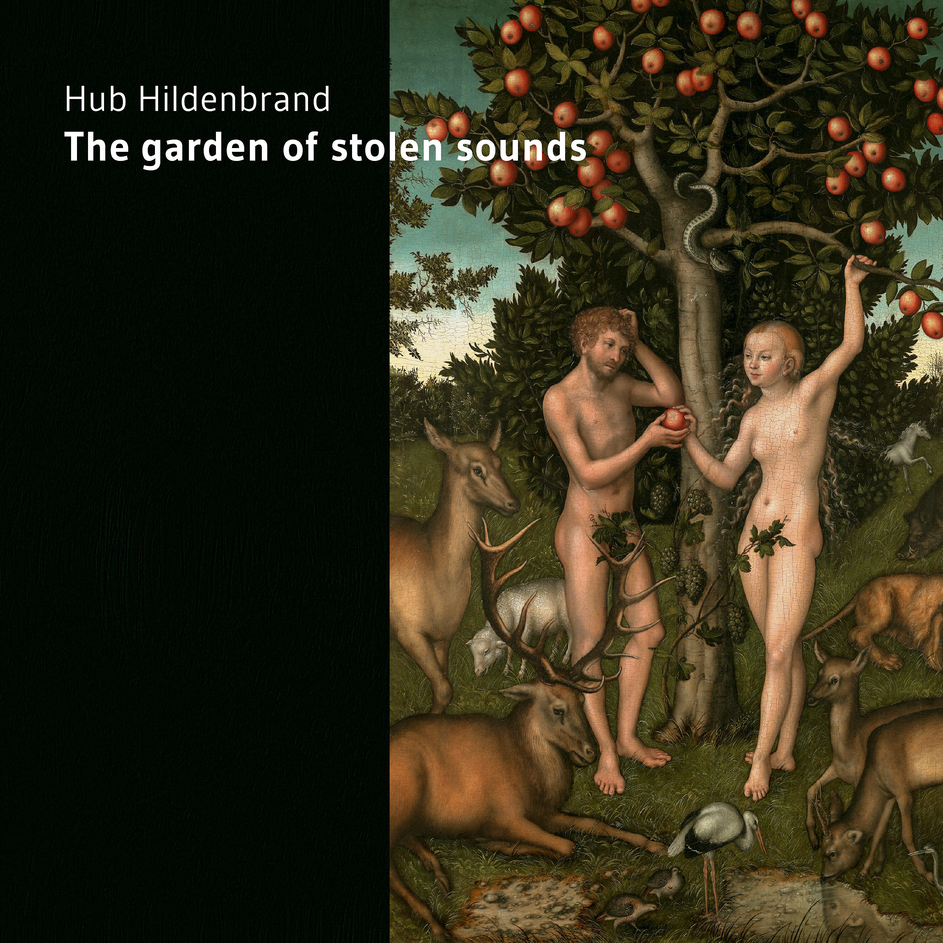 Hub Hildenbrand - New Blossoms