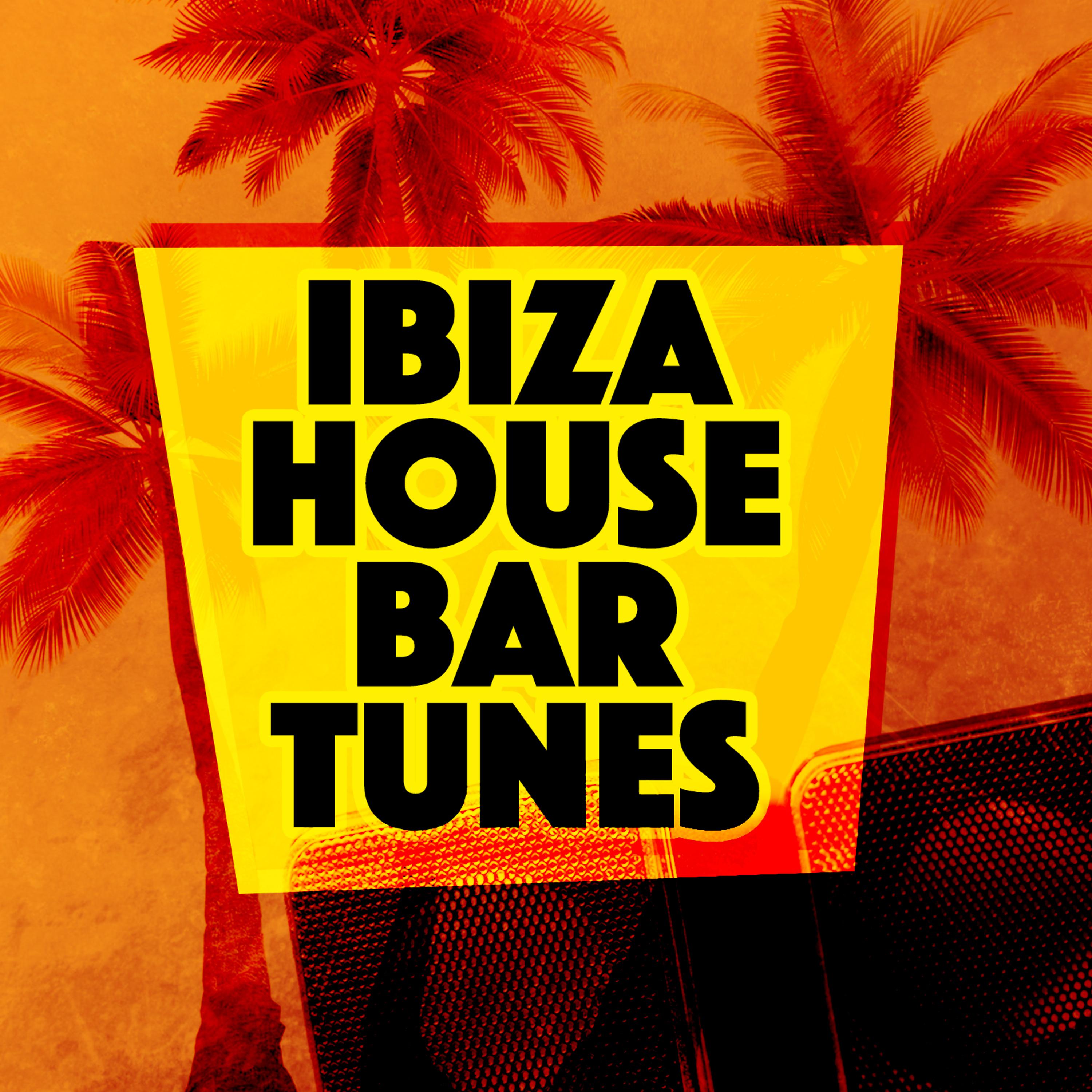 Постер альбома Ibiza House Bar Tunes