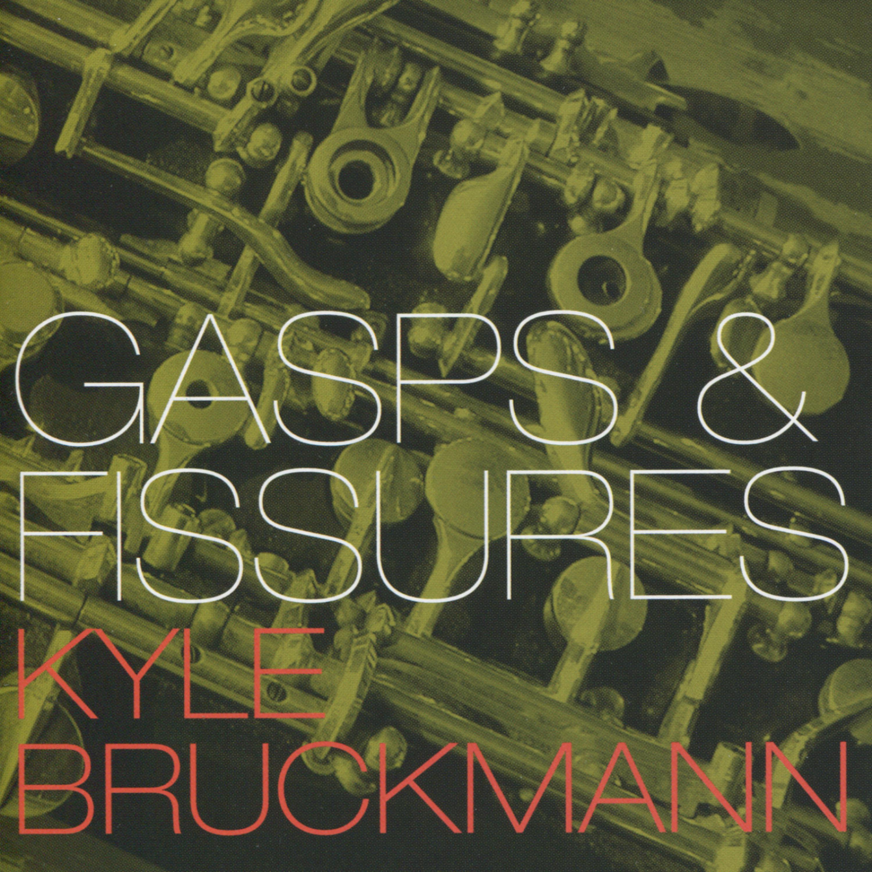 Постер альбома Gasps & Fissures