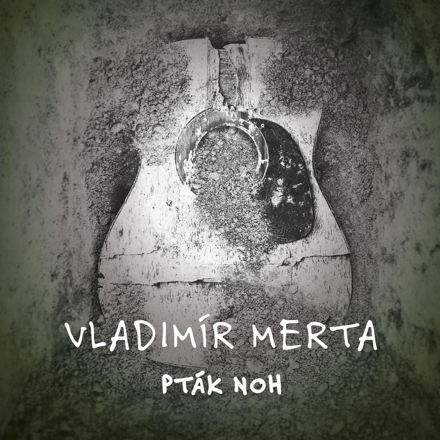 Постер альбома Pták noh