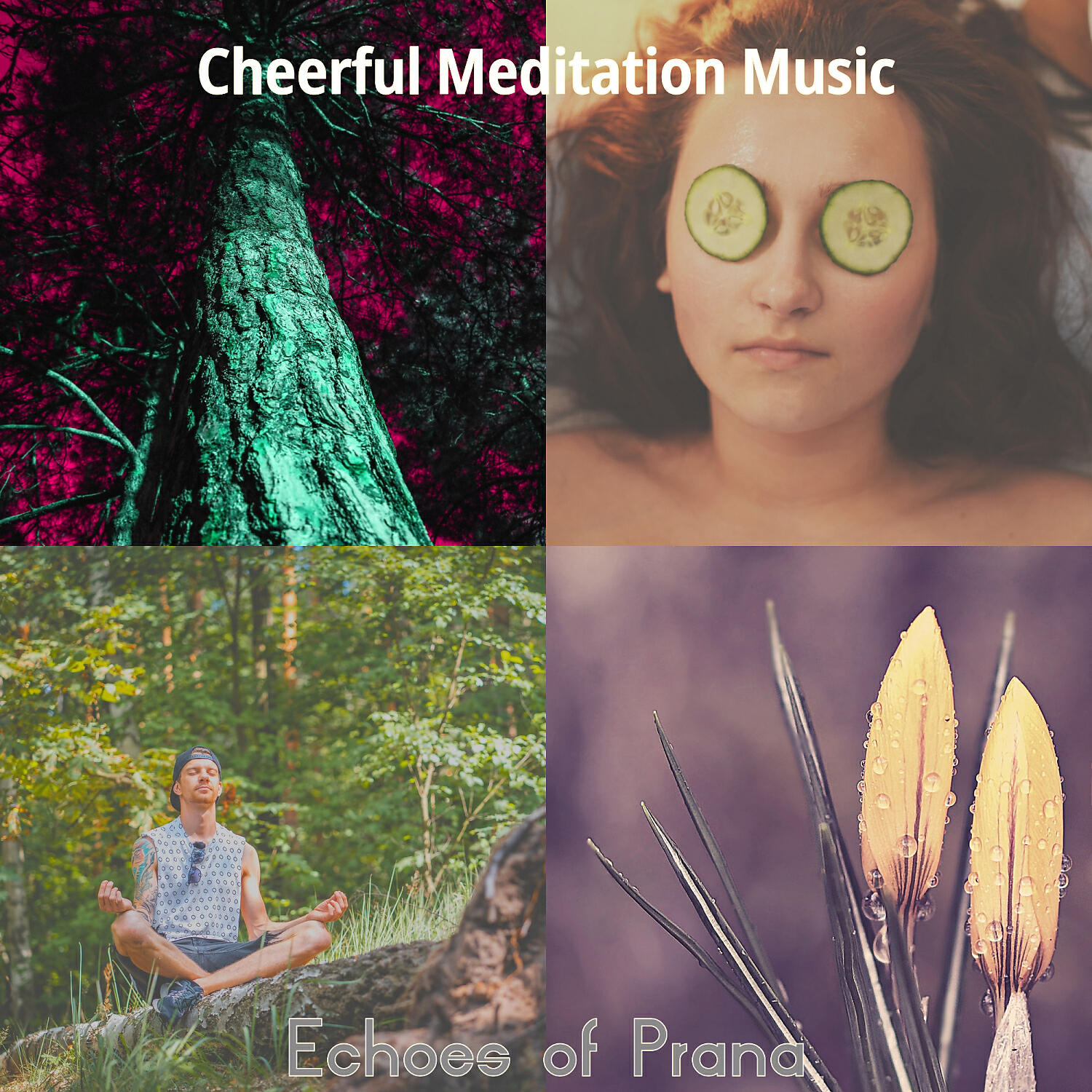 Cheerful Meditation Music - Contemporary Music for Morning Meditation