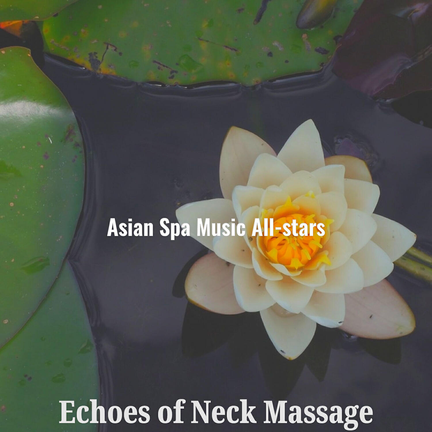 Asian Spa Music All-stars - Amazing Music for Coconut Oil Massage