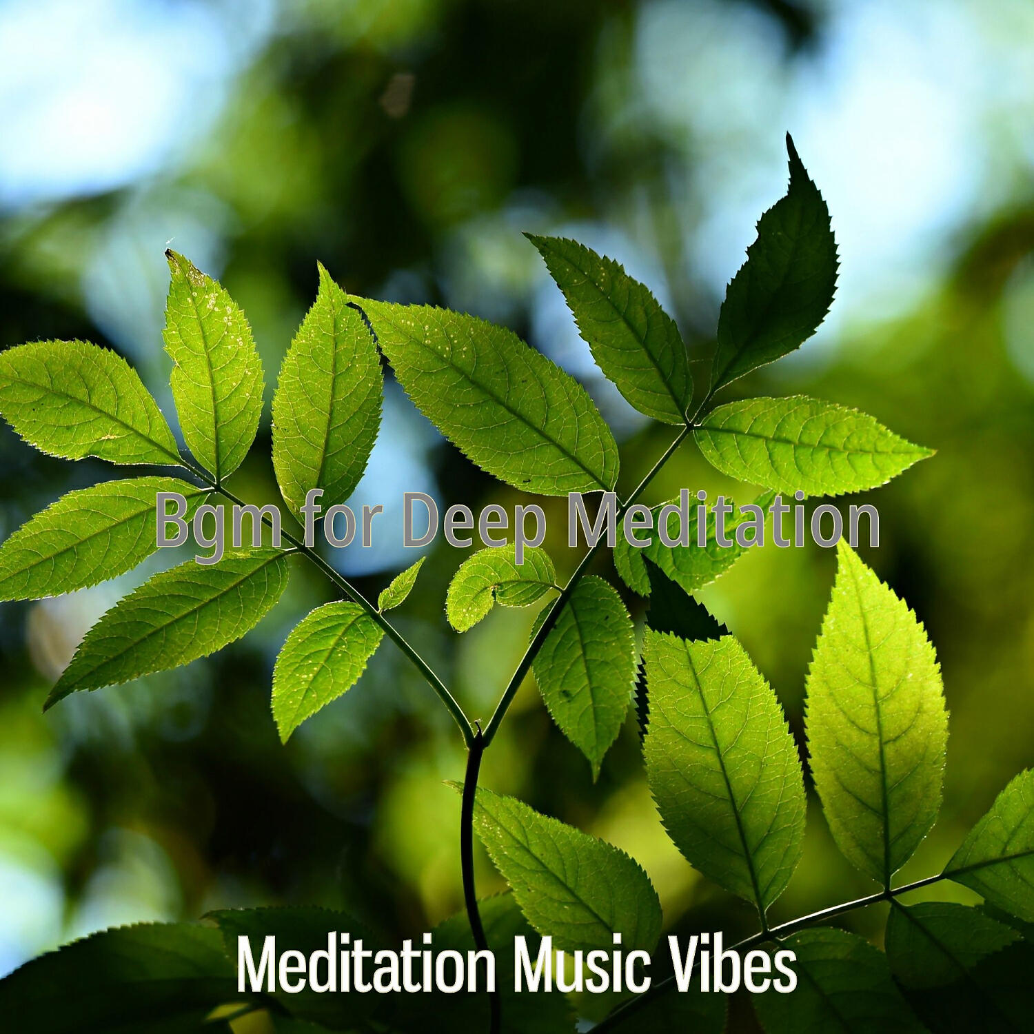 Meditation Music Vibes - Uplifting Yoga Nidra